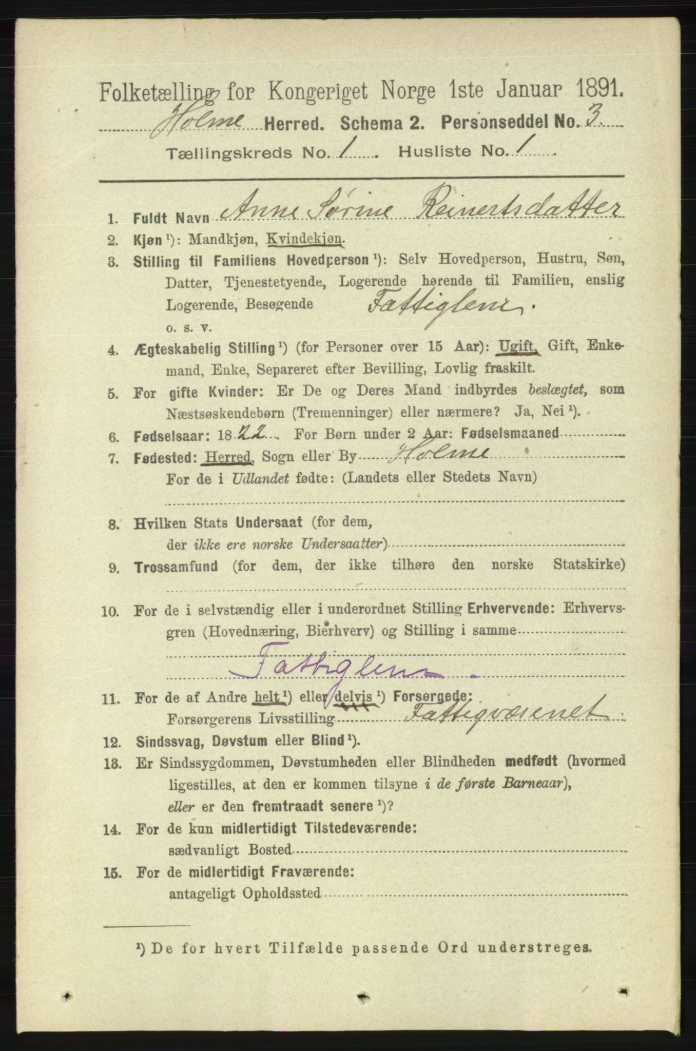 RA, 1891 census for 1020 Holum, 1891, p. 49