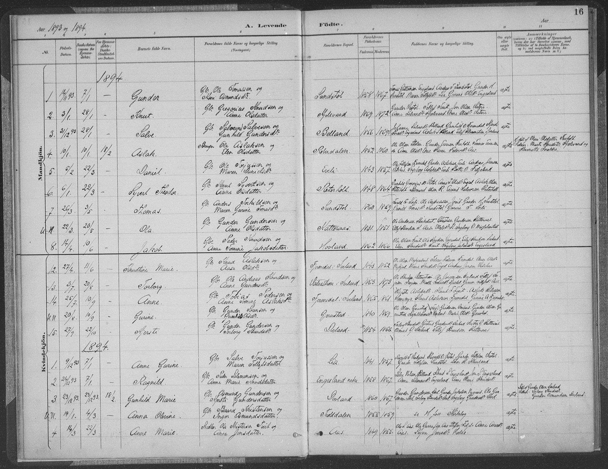 Herefoss sokneprestkontor, SAK/1111-0019/F/Fa/Fab/L0004: Parish register (official) no. A 4, 1887-1909, p. 16