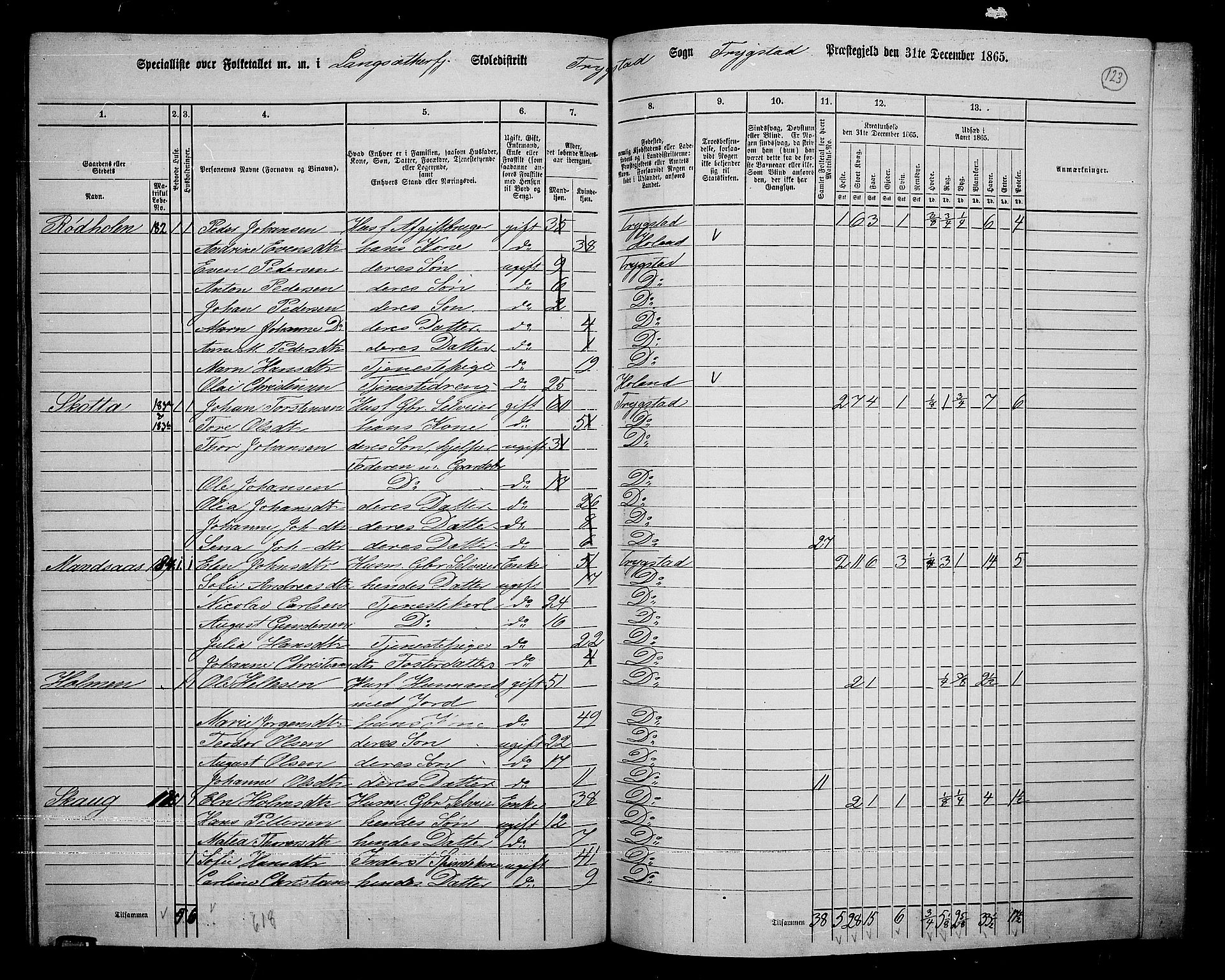 RA, 1865 census for Trøgstad, 1865, p. 107