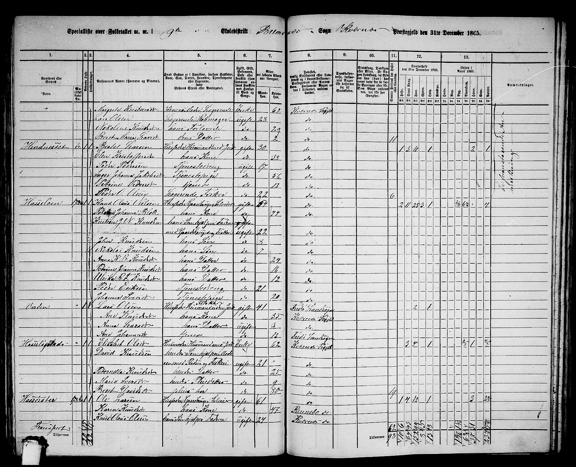 RA, 1865 census for Kvernes, 1865, p. 176