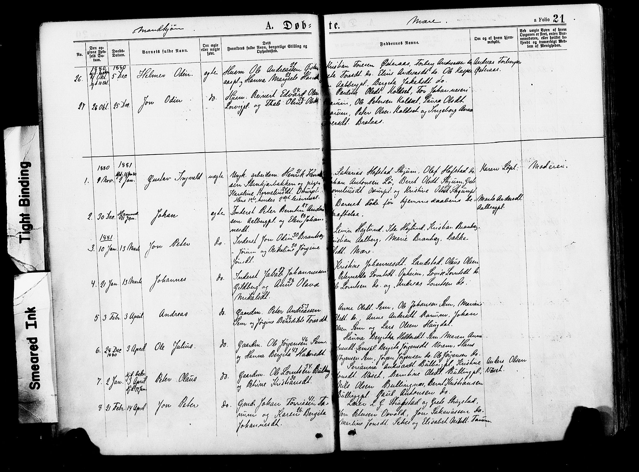 Ministerialprotokoller, klokkerbøker og fødselsregistre - Nord-Trøndelag, SAT/A-1458/735/L0348: Parish register (official) no. 735A09 /1, 1873-1883, p. 21