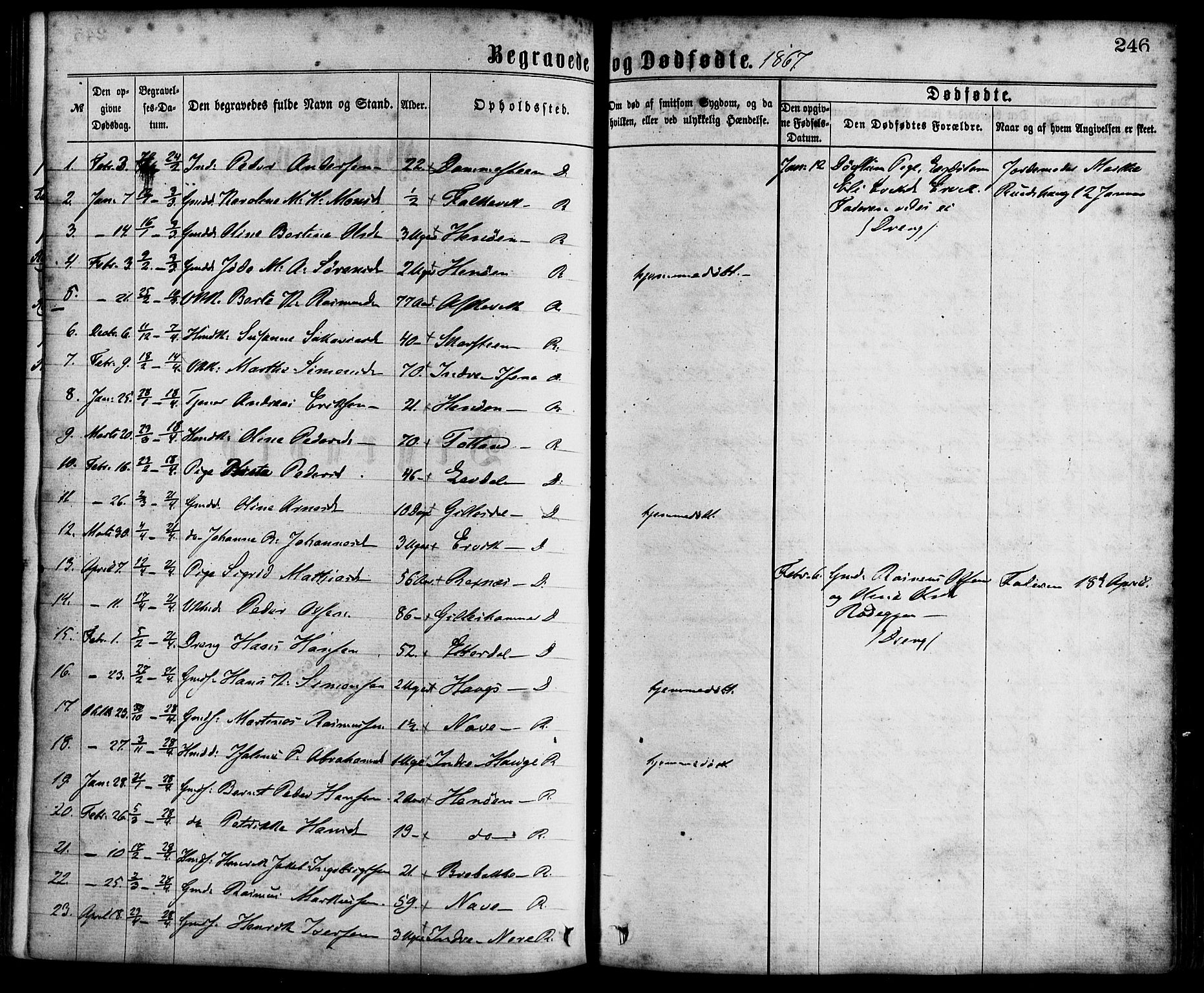 Davik sokneprestembete, AV/SAB-A-79701/H/Haa/Haaa/L0006: Parish register (official) no. A 6, 1867-1881, p. 246