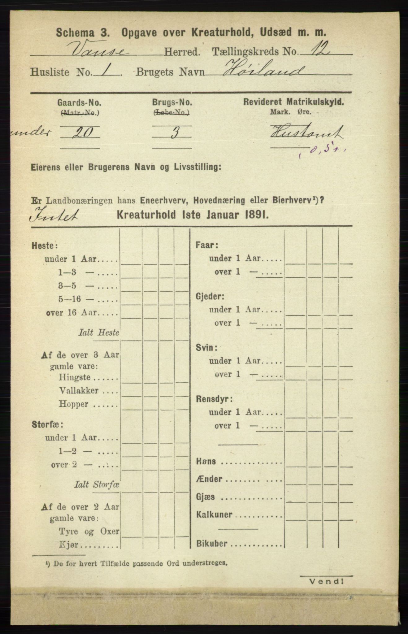 RA, 1891 census for 1041 Vanse, 1891, p. 10095