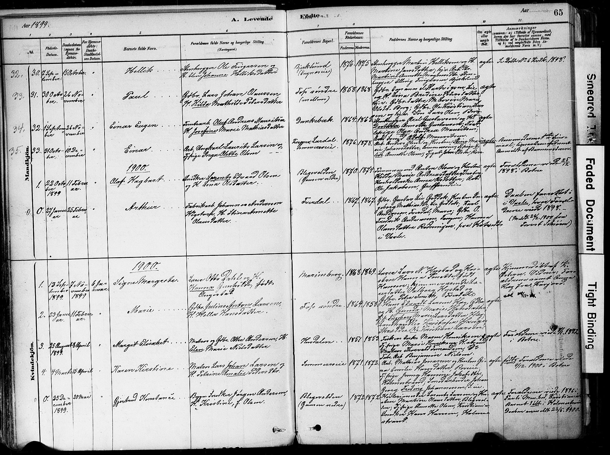 Botne kirkebøker, SAKO/A-340/F/Fa/L0007: Parish register (official) no. I 7, 1878-1910, p. 65