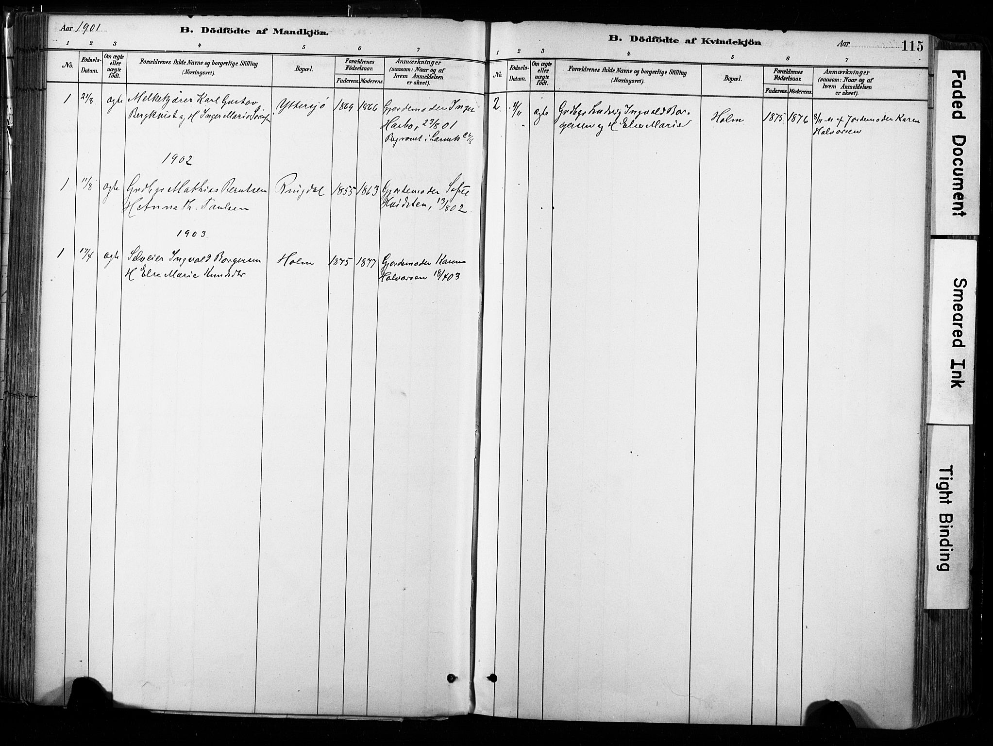 Hedrum kirkebøker, SAKO/A-344/F/Fa/L0009: Parish register (official) no. I 9, 1881-1903, p. 115