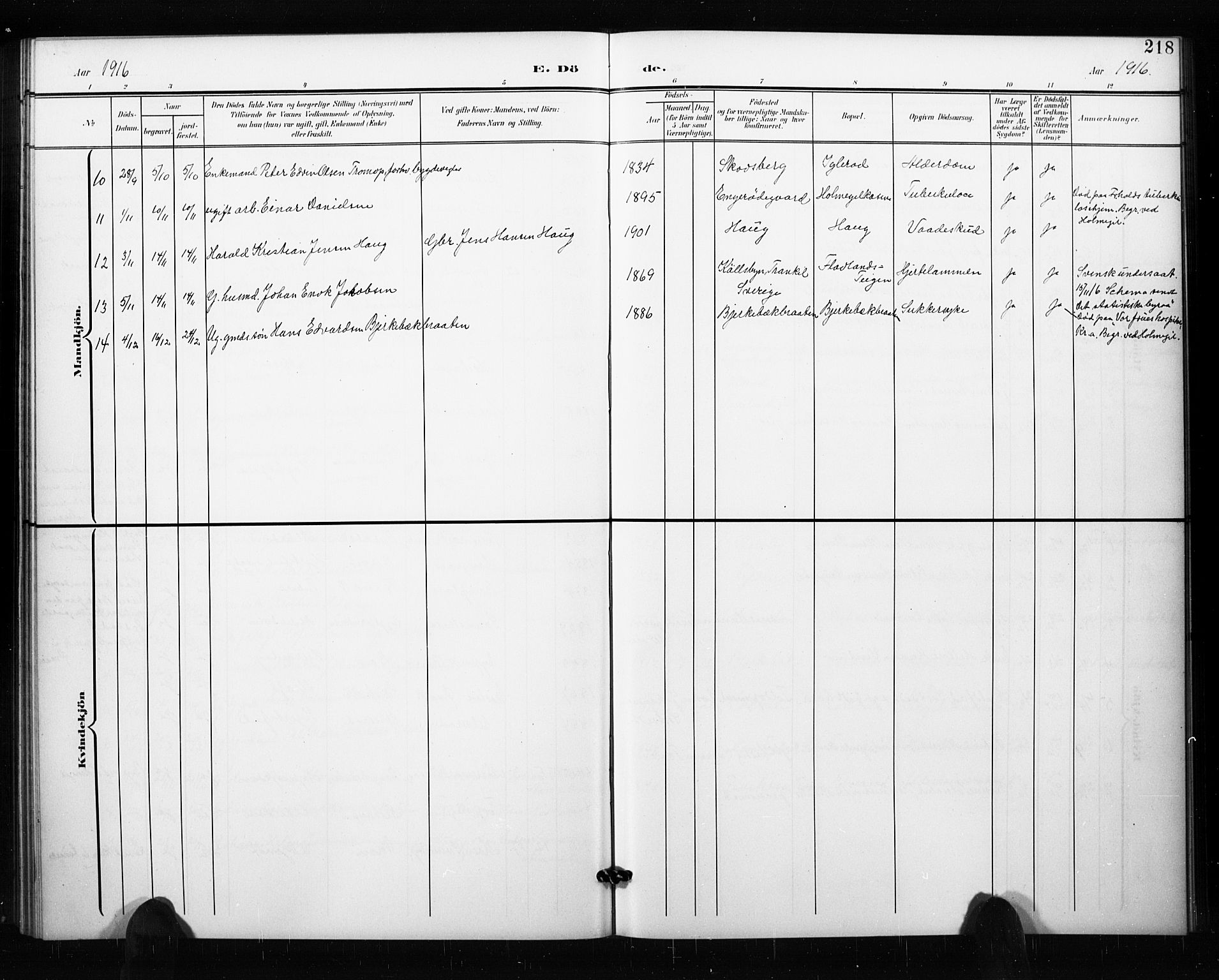 Aremark prestekontor Kirkebøker, AV/SAO-A-10899/G/Ga/L0002: Parish register (copy) no. I 2, 1901-1928, p. 218