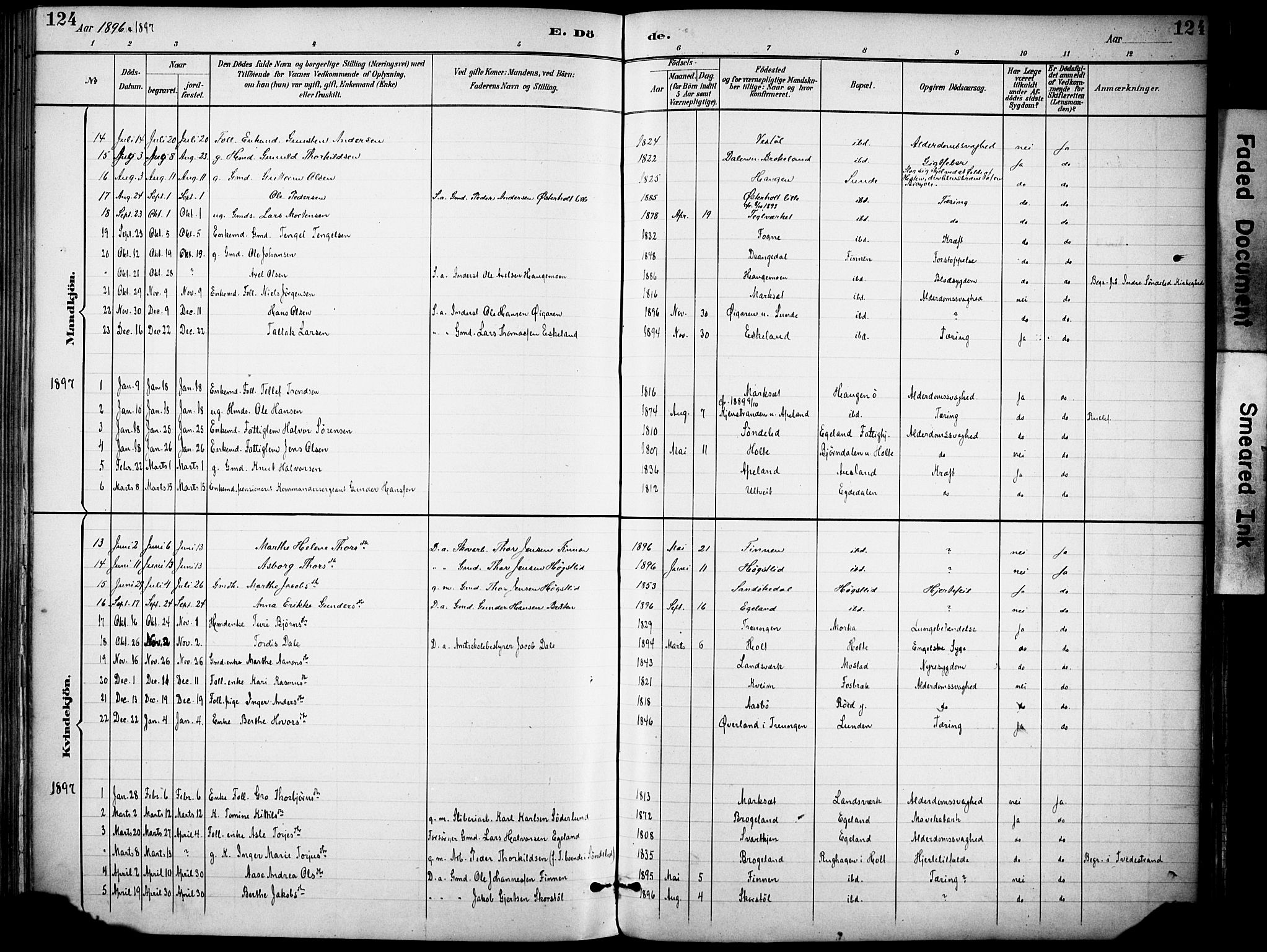 Gjerstad sokneprestkontor, SAK/1111-0014/F/Fa/Faa/L0010: Parish register (official) no. A 10, 1891-1902, p. 124