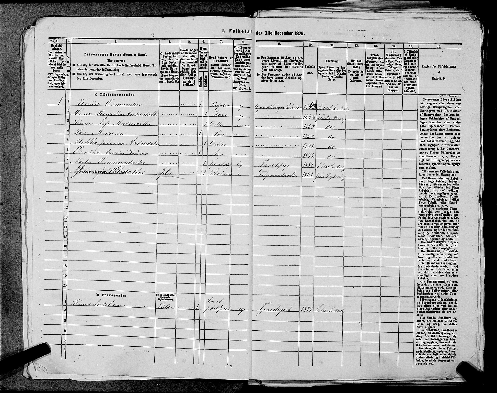 SAST, 1875 census for 1138P Jelsa, 1875, p. 190