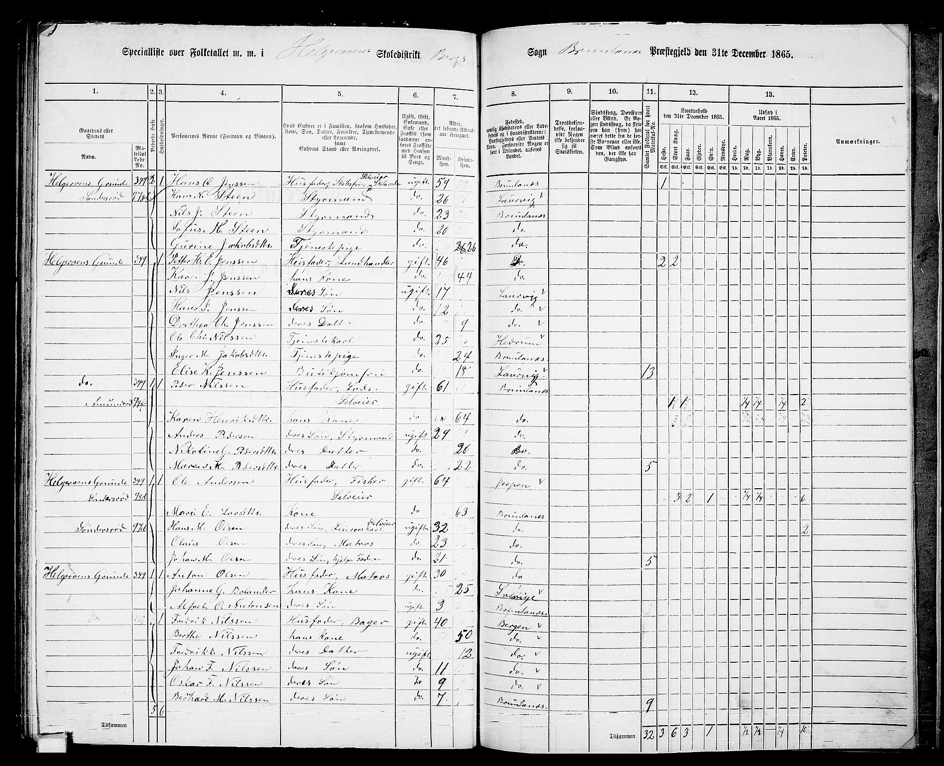 RA, 1865 census for Brunlanes, 1865, p. 161