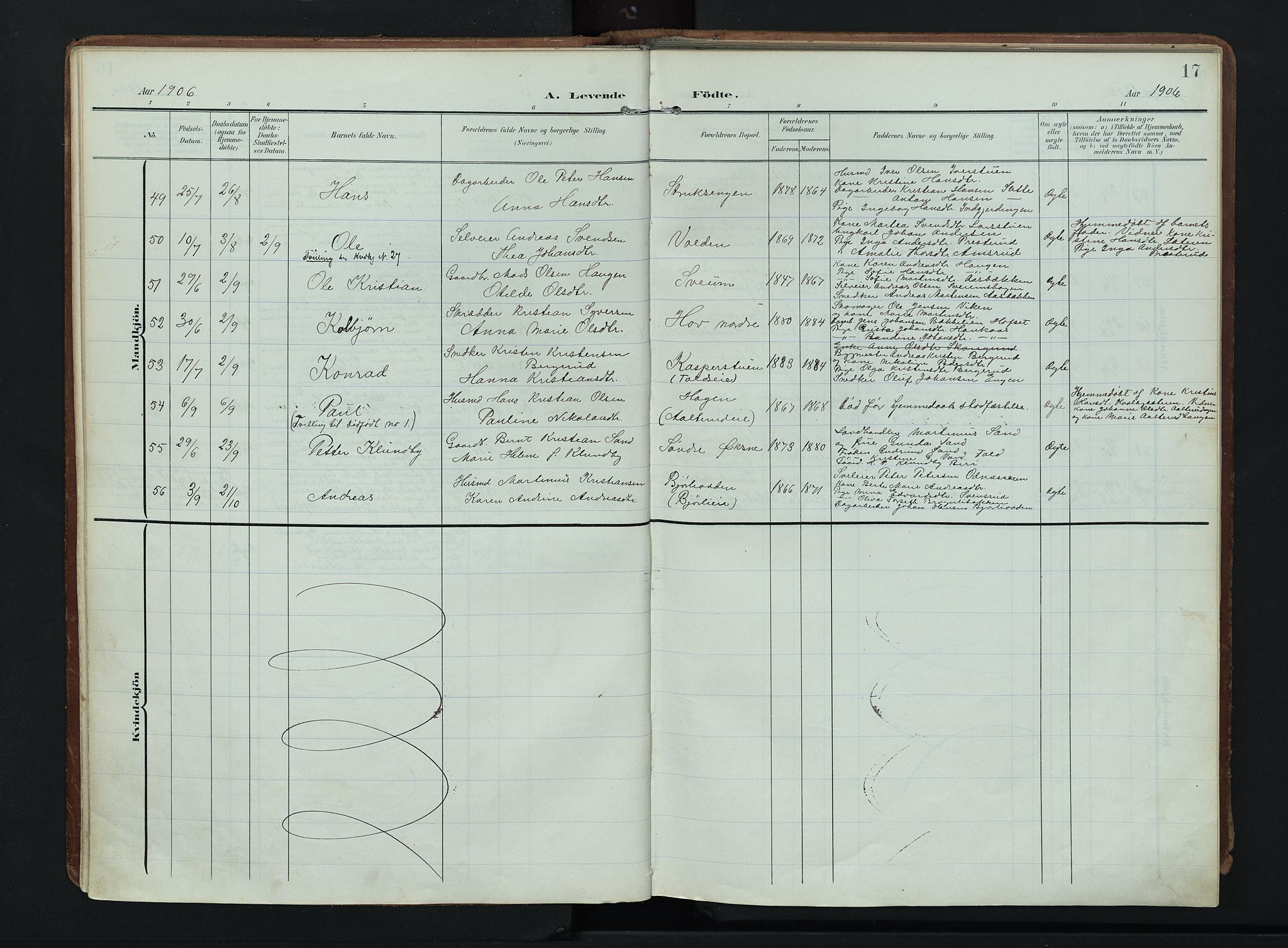 Søndre Land prestekontor, AV/SAH-PREST-122/K/L0007: Parish register (official) no. 7, 1905-1914, p. 17