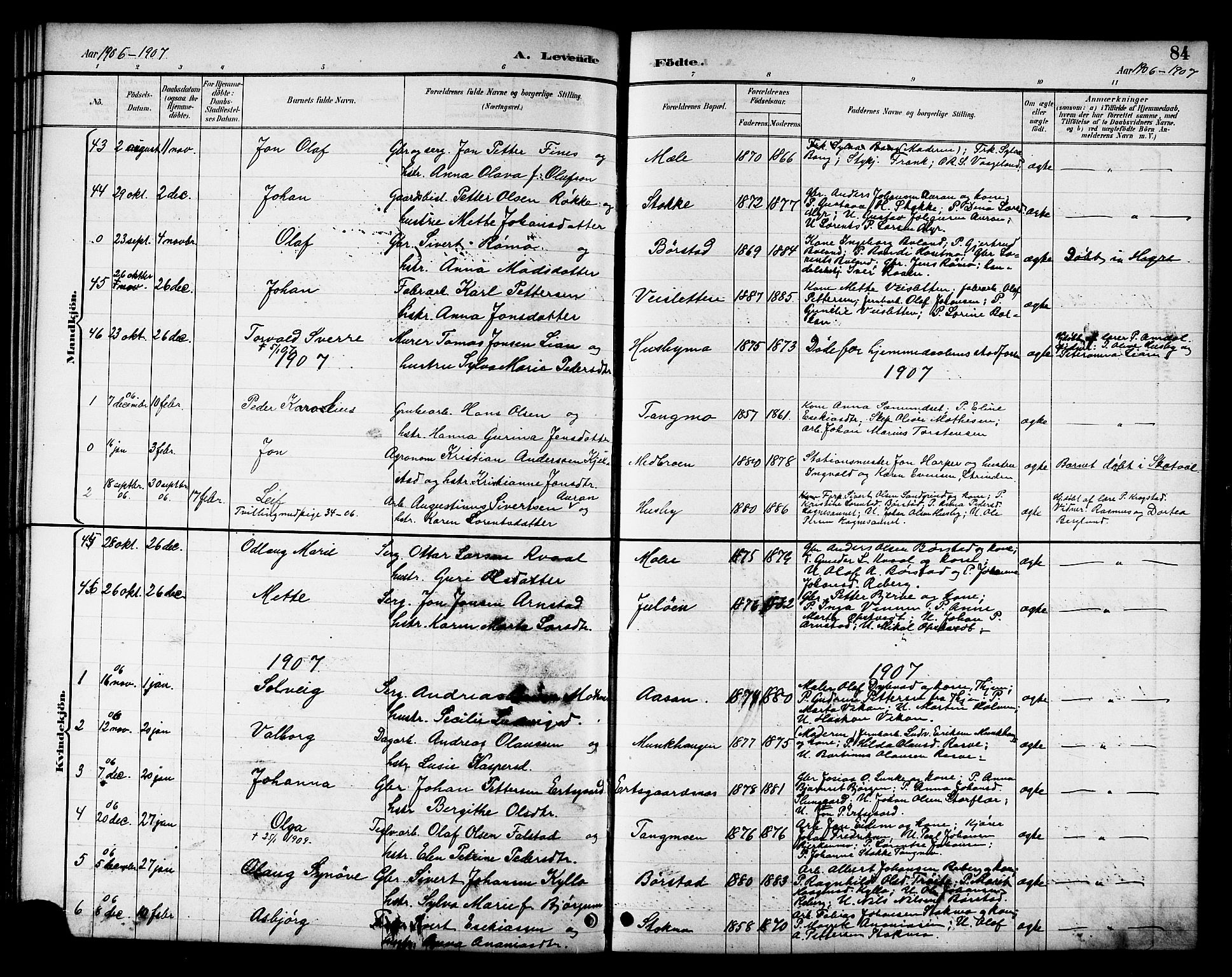 Ministerialprotokoller, klokkerbøker og fødselsregistre - Nord-Trøndelag, SAT/A-1458/709/L0087: Parish register (copy) no. 709C01, 1892-1913, p. 84