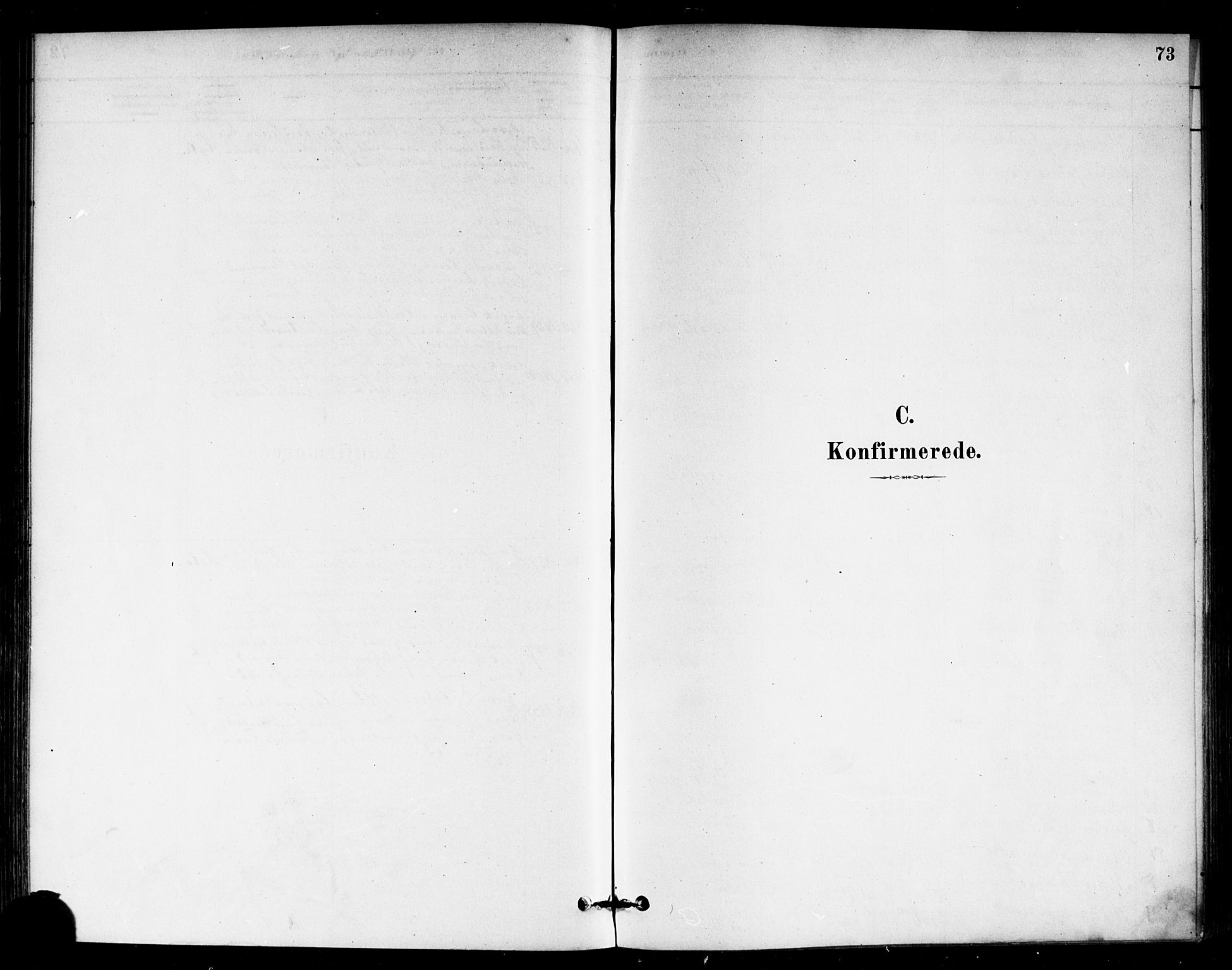 Eidsberg prestekontor Kirkebøker, AV/SAO-A-10905/F/Fb/L0001: Parish register (official) no. II 1, 1879-1900, p. 73