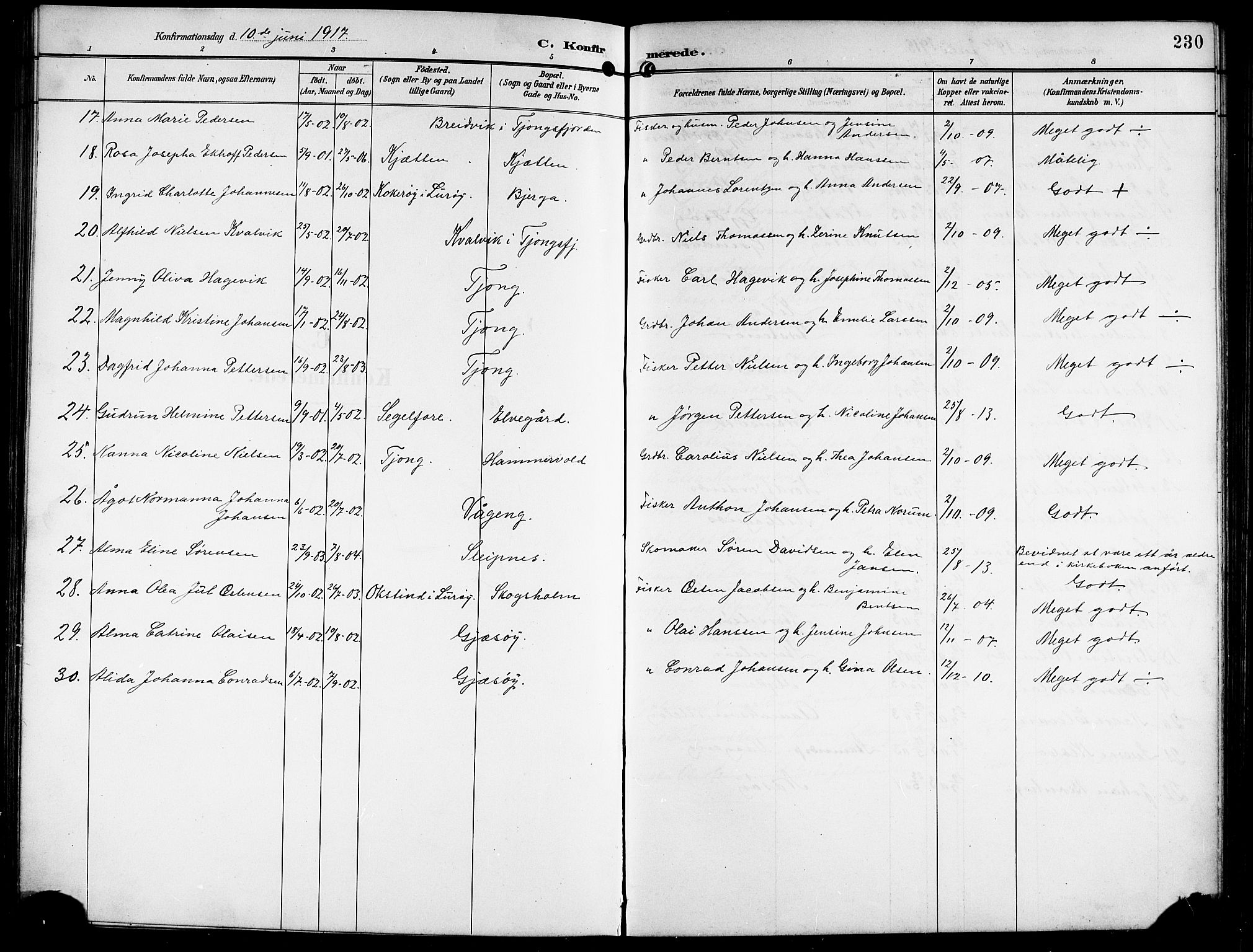 Ministerialprotokoller, klokkerbøker og fødselsregistre - Nordland, AV/SAT-A-1459/841/L0621: Parish register (copy) no. 841C05, 1897-1923, p. 230