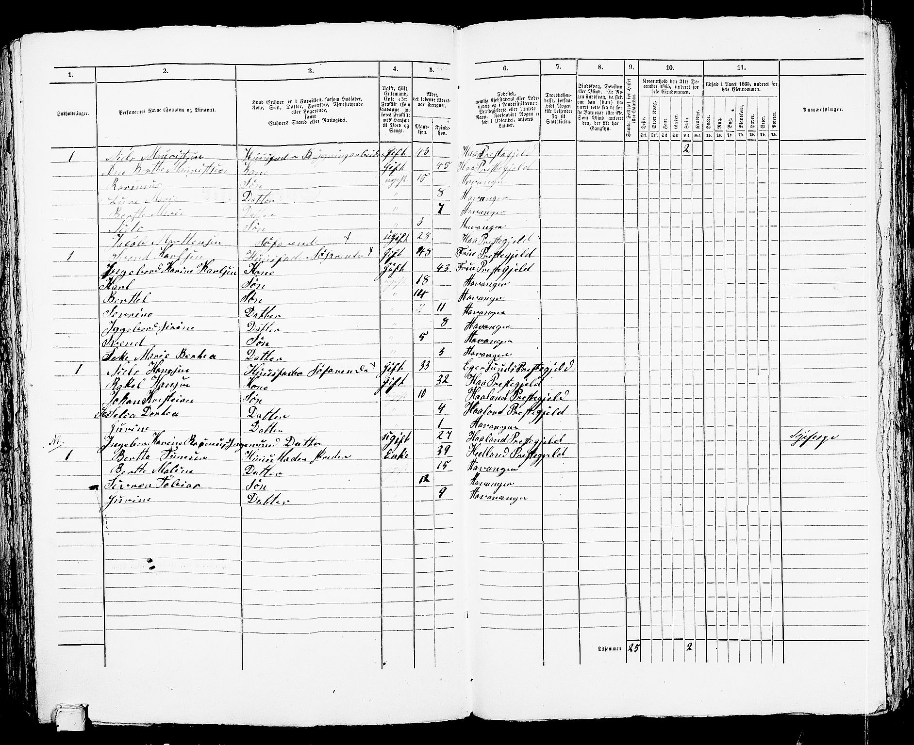 RA, 1865 census for Stavanger, 1865, p. 2264