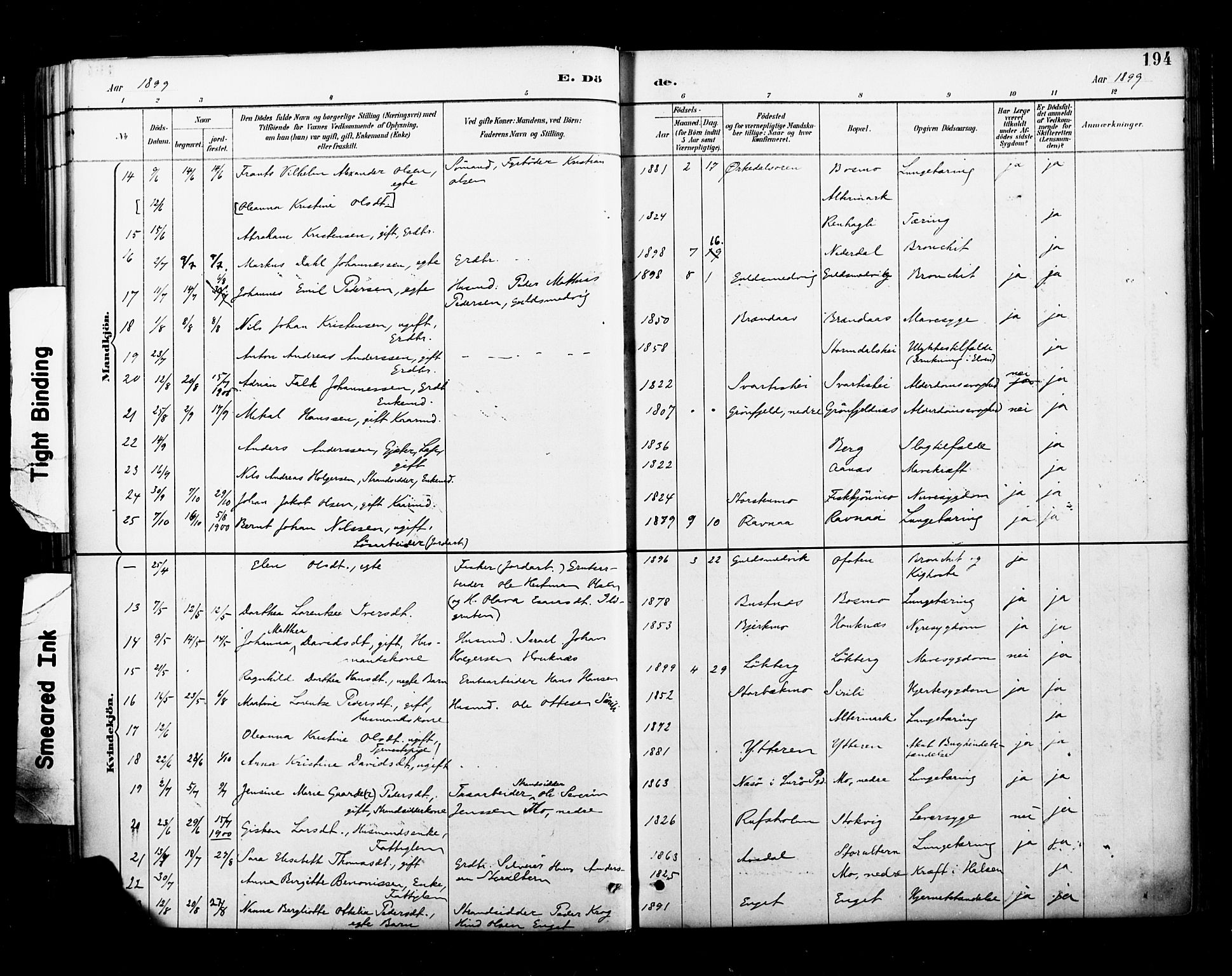 Ministerialprotokoller, klokkerbøker og fødselsregistre - Nordland, SAT/A-1459/827/L0401: Parish register (official) no. 827A13, 1887-1905, p. 194