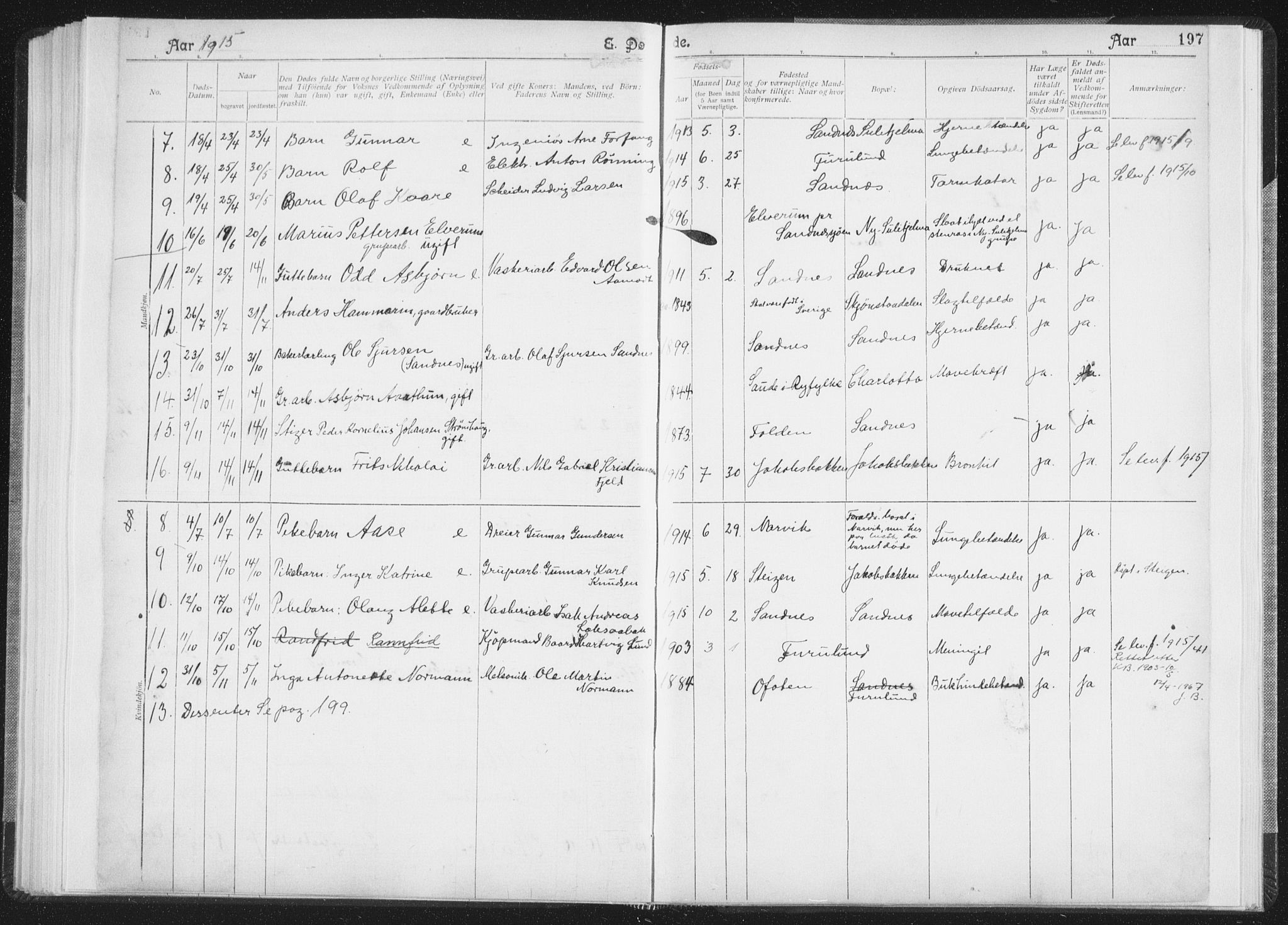 Ministerialprotokoller, klokkerbøker og fødselsregistre - Nordland, SAT/A-1459/850/L0711: Curate's parish register no. 850B01, 1902-1915, p. 197