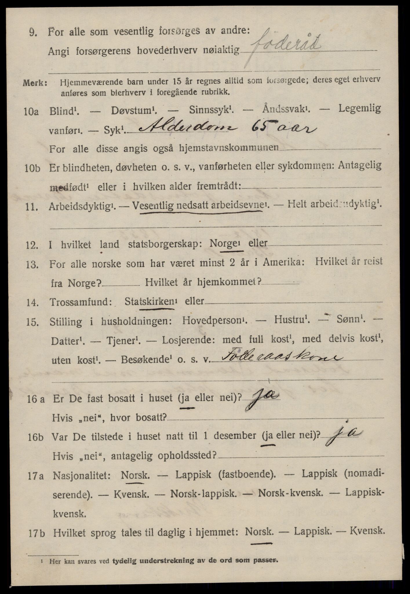 SAT, 1920 census for Hemne, 1920, p. 1243