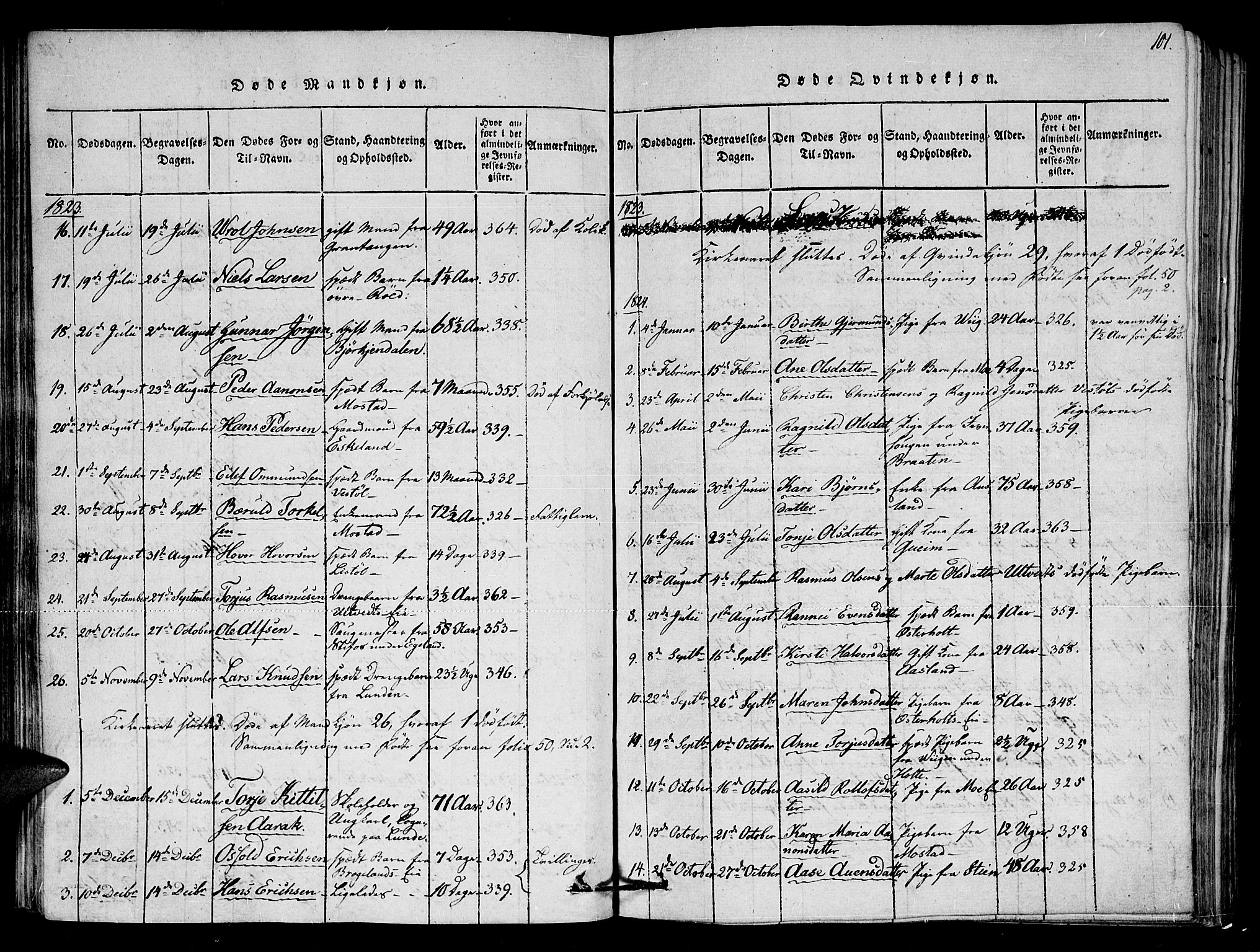 Gjerstad sokneprestkontor, AV/SAK-1111-0014/F/Fa/Faa/L0004: Parish register (official) no. A 4, 1816-1829, p. 101