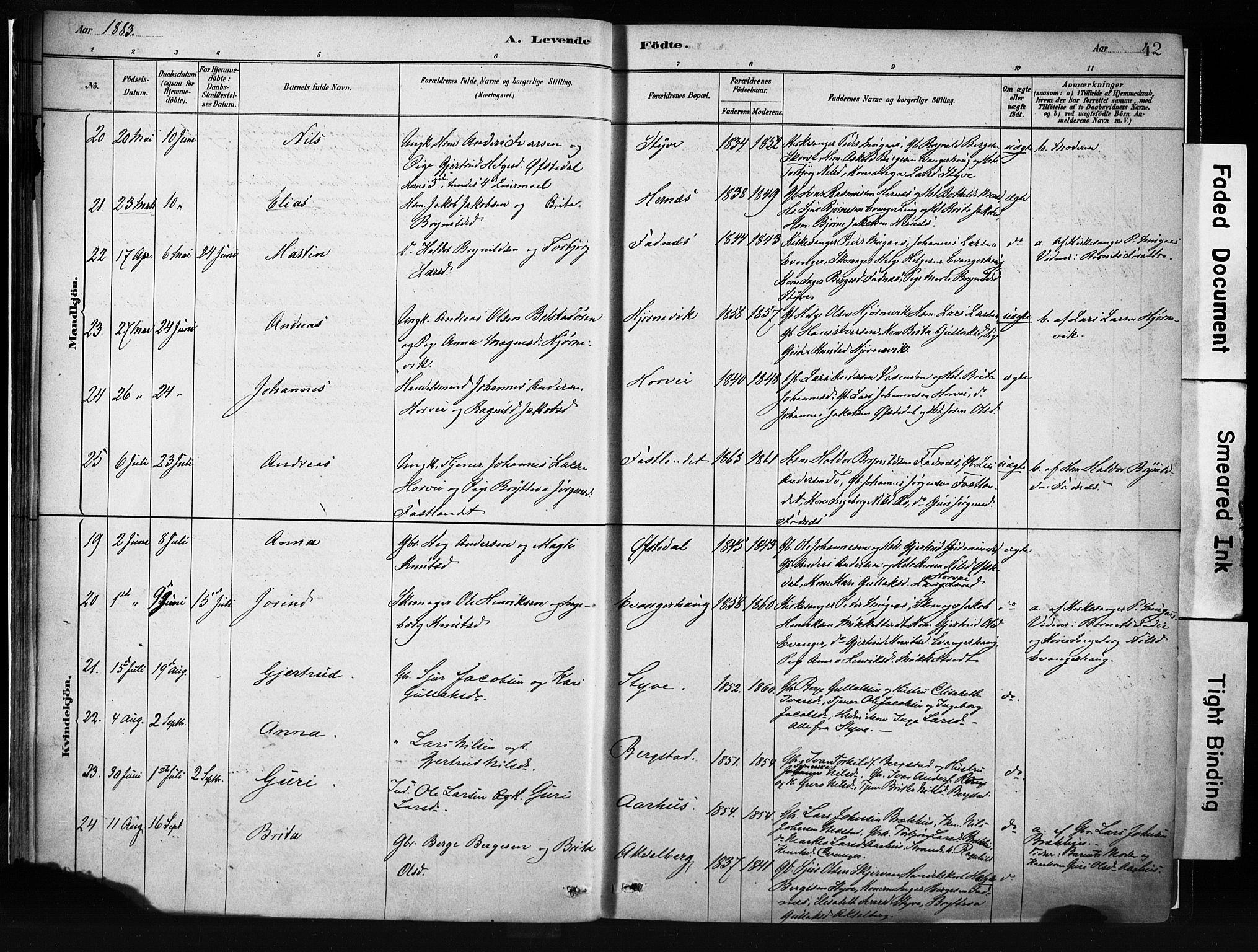 Evanger sokneprestembete, AV/SAB-A-99924: Parish register (official) no. A 1, 1877-1899, p. 42