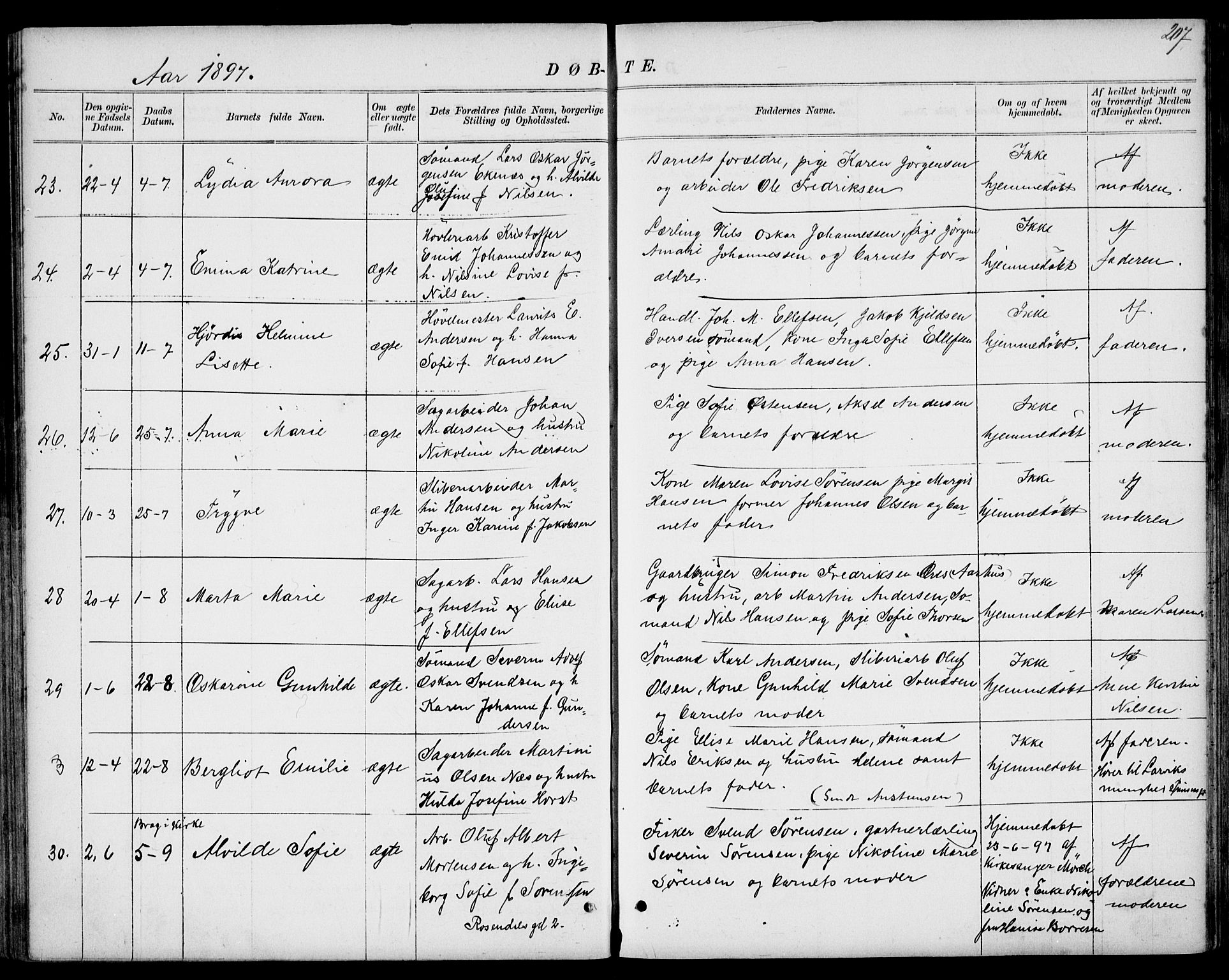 Larvik kirkebøker, AV/SAKO-A-352/G/Gb/L0003: Parish register (copy) no. II 3, 1867-1899, p. 207
