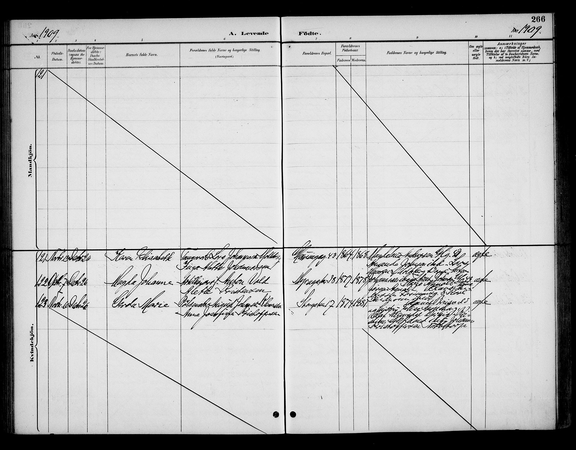 Fredrikstad domkirkes prestekontor Kirkebøker, AV/SAO-A-10906/G/Ga/L0002: Parish register (copy) no. 2, 1894-1918, p. 266