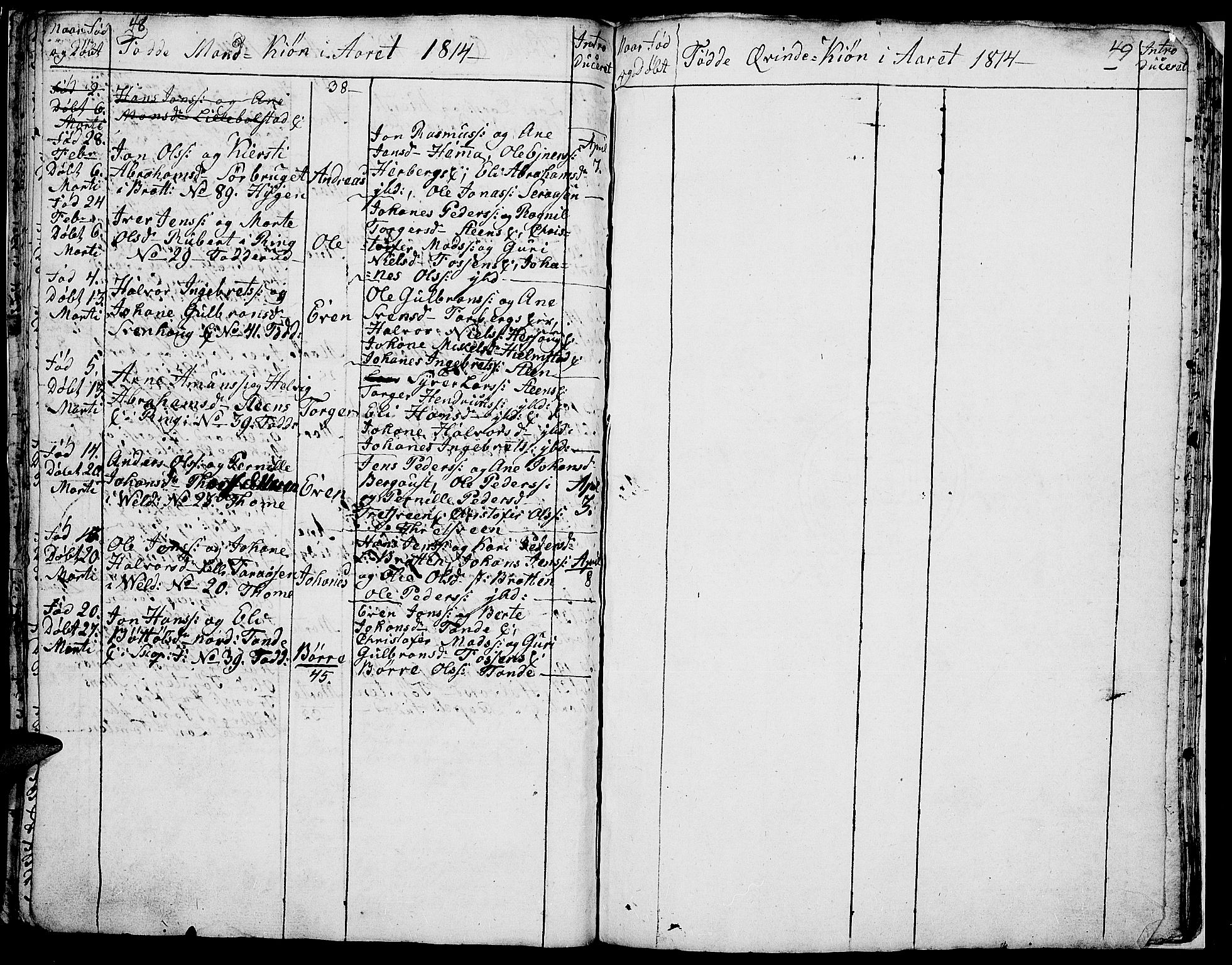 Ringsaker prestekontor, AV/SAH-PREST-014/I/Ia/L0005/0009: Parish register draft no. 5.9, 1811-1814, p. 50-51