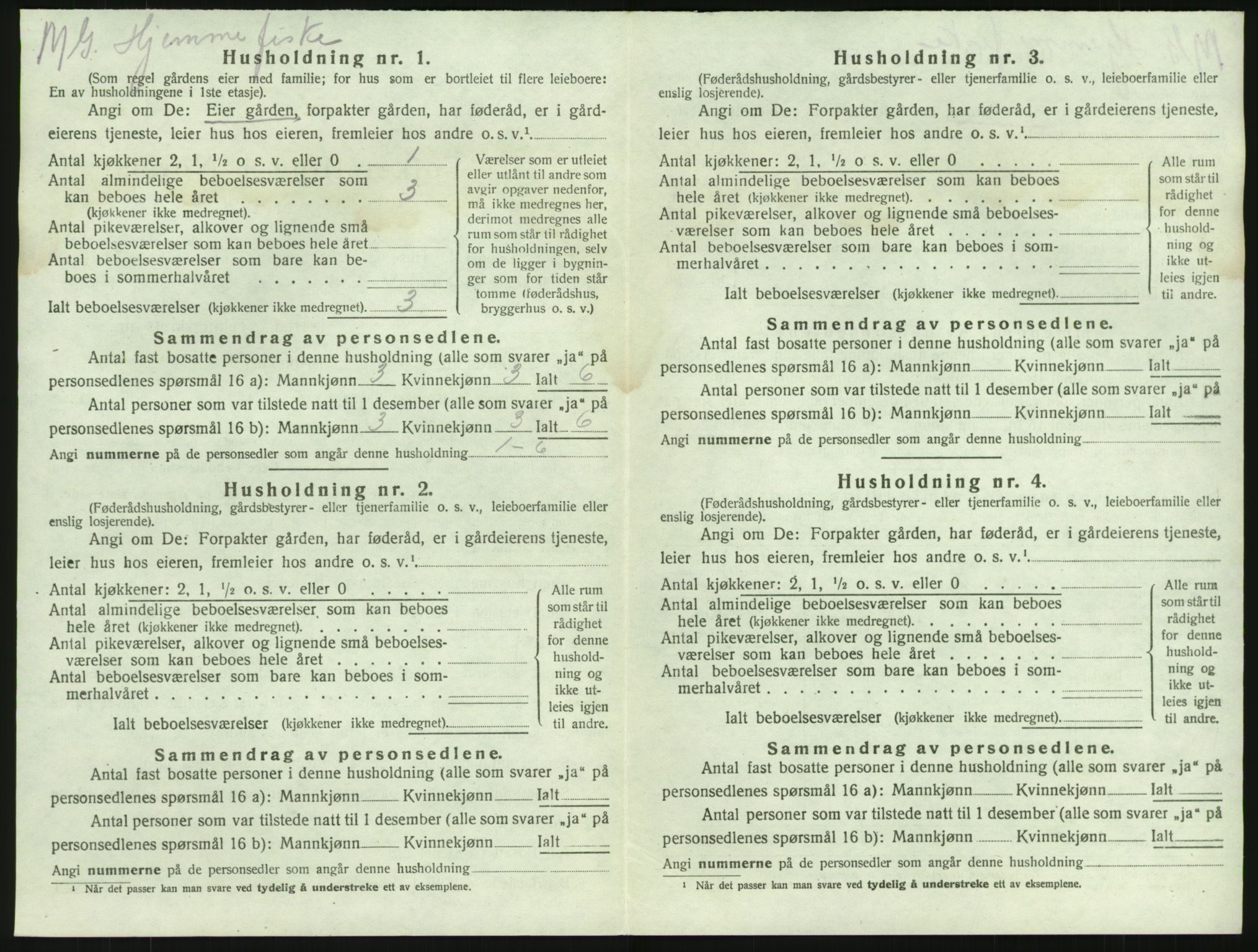 SAKO, 1920 census for Brunlanes, 1920, p. 1494