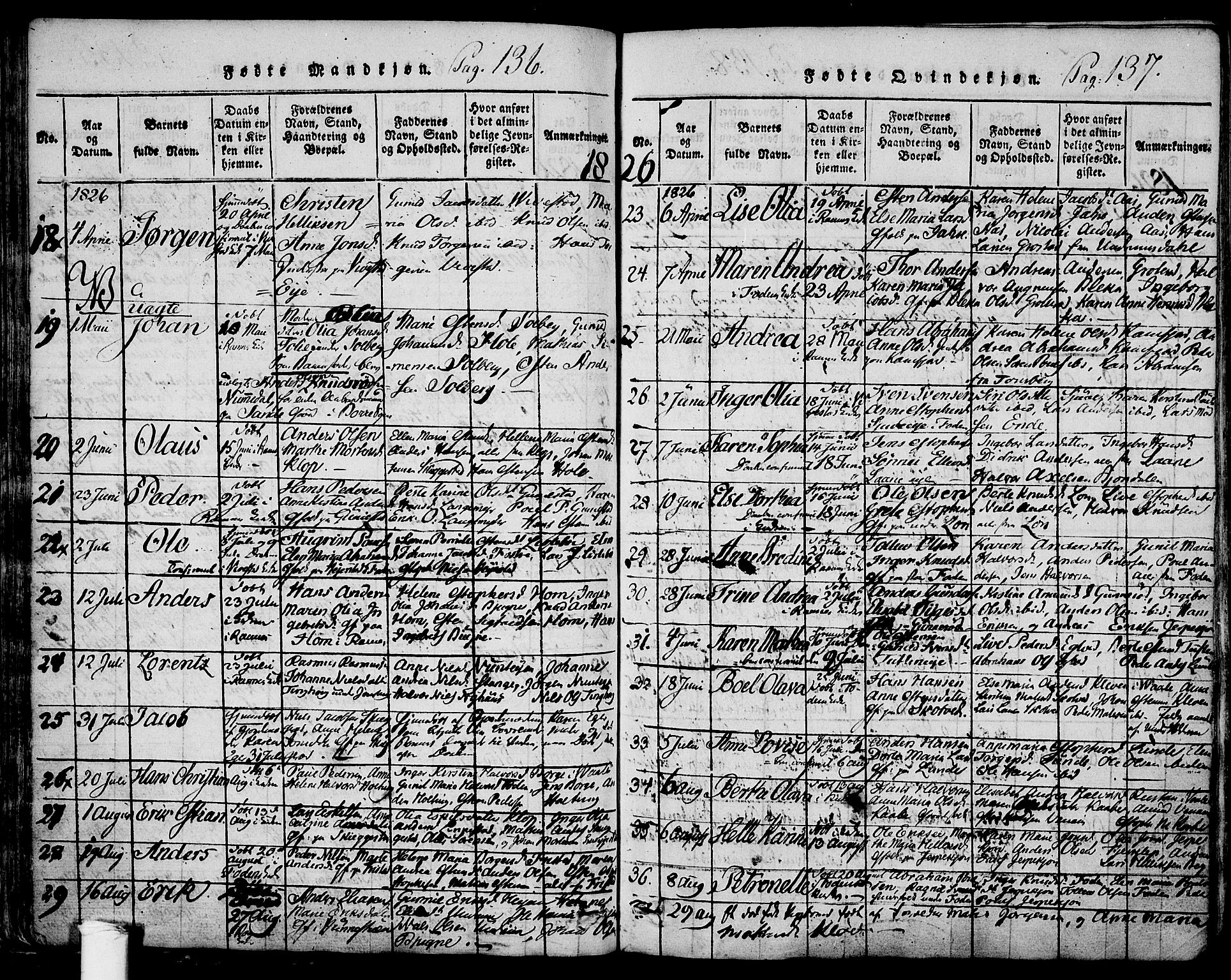 Ramnes kirkebøker, SAKO/A-314/F/Fa/L0004: Parish register (official) no. I 4, 1813-1840, p. 136-137
