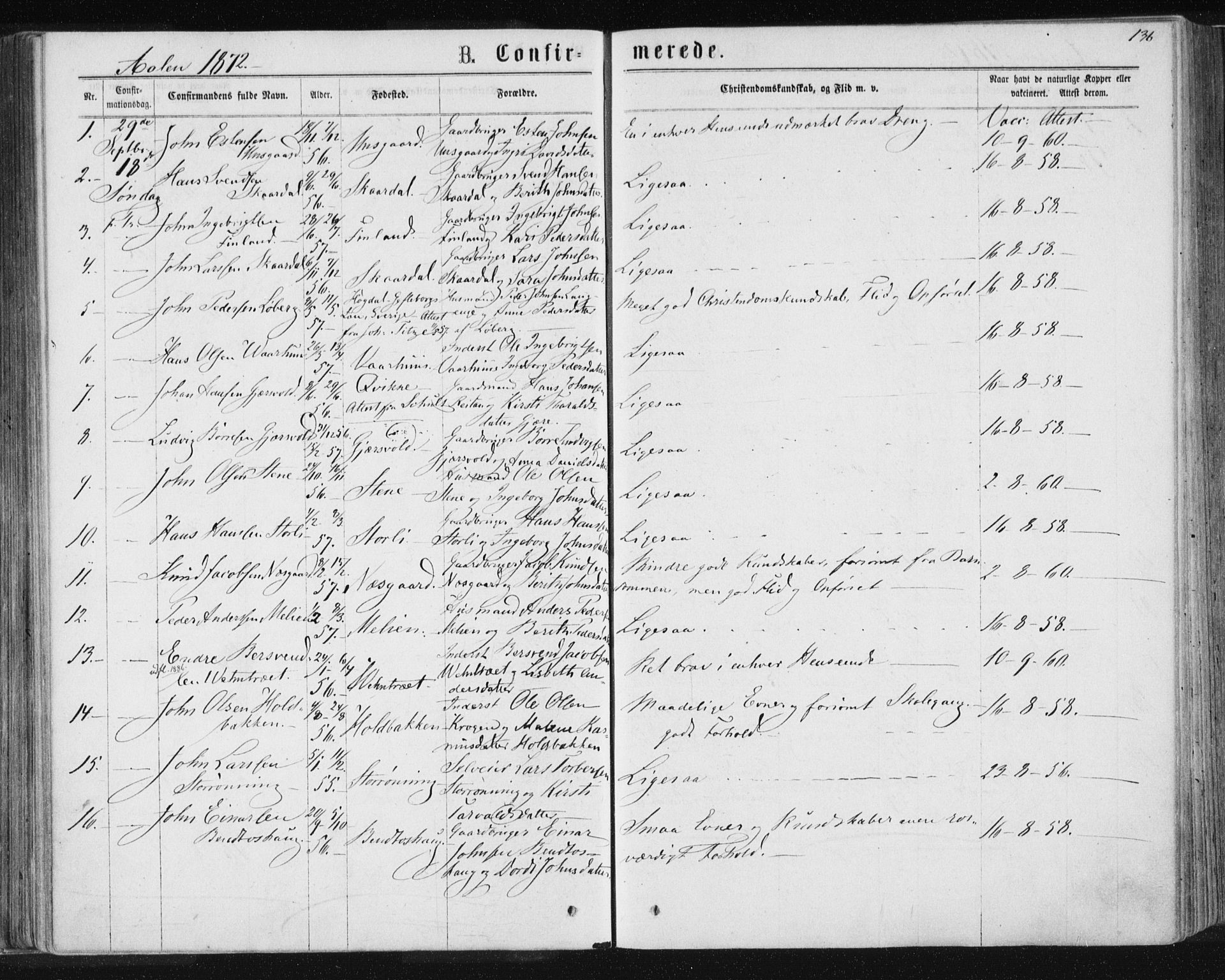 Ministerialprotokoller, klokkerbøker og fødselsregistre - Sør-Trøndelag, SAT/A-1456/685/L0971: Parish register (official) no. 685A08 /3, 1870-1879, p. 136