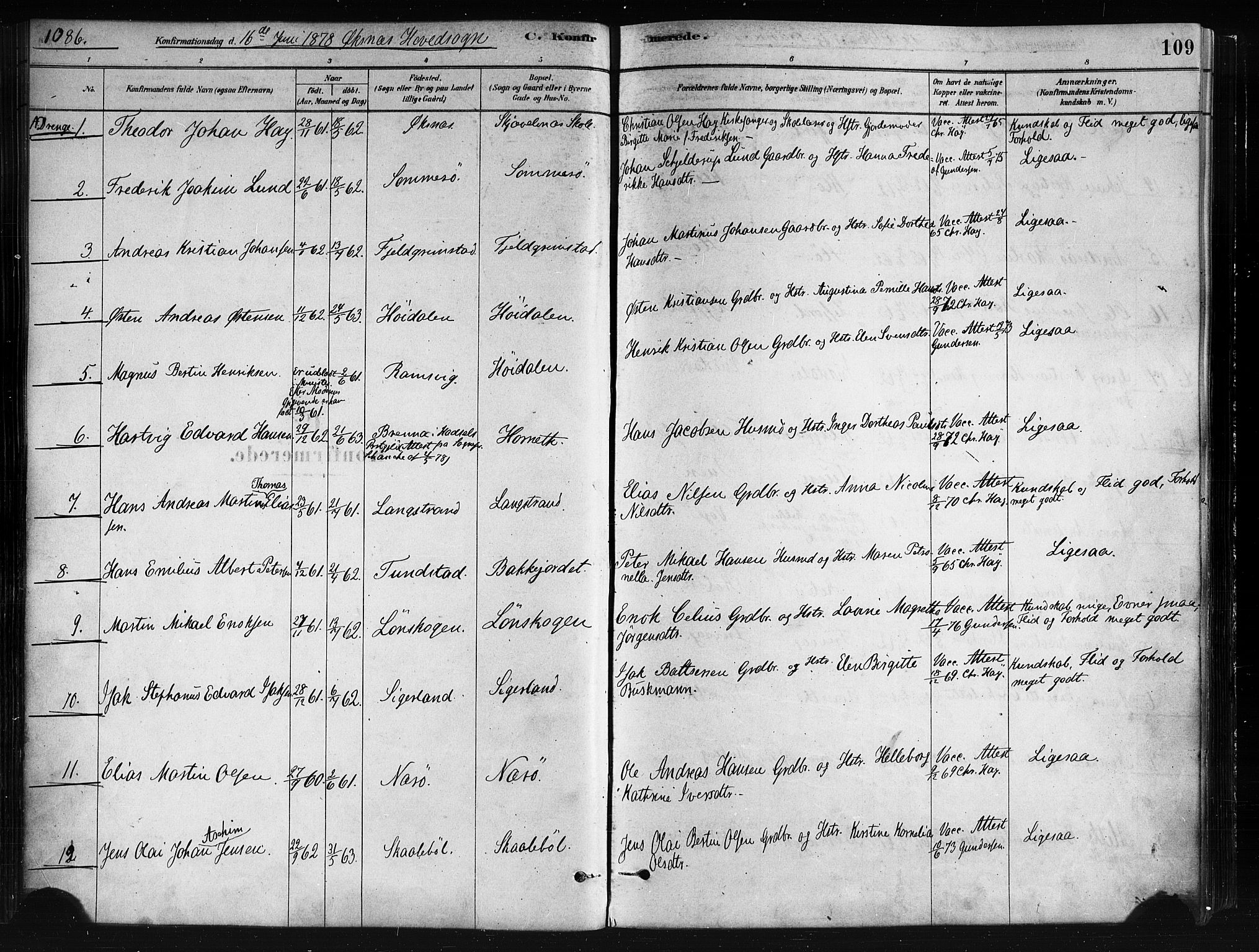 Ministerialprotokoller, klokkerbøker og fødselsregistre - Nordland, AV/SAT-A-1459/893/L1335: Parish register (official) no. 893A08 /1, 1878-1884, p. 109