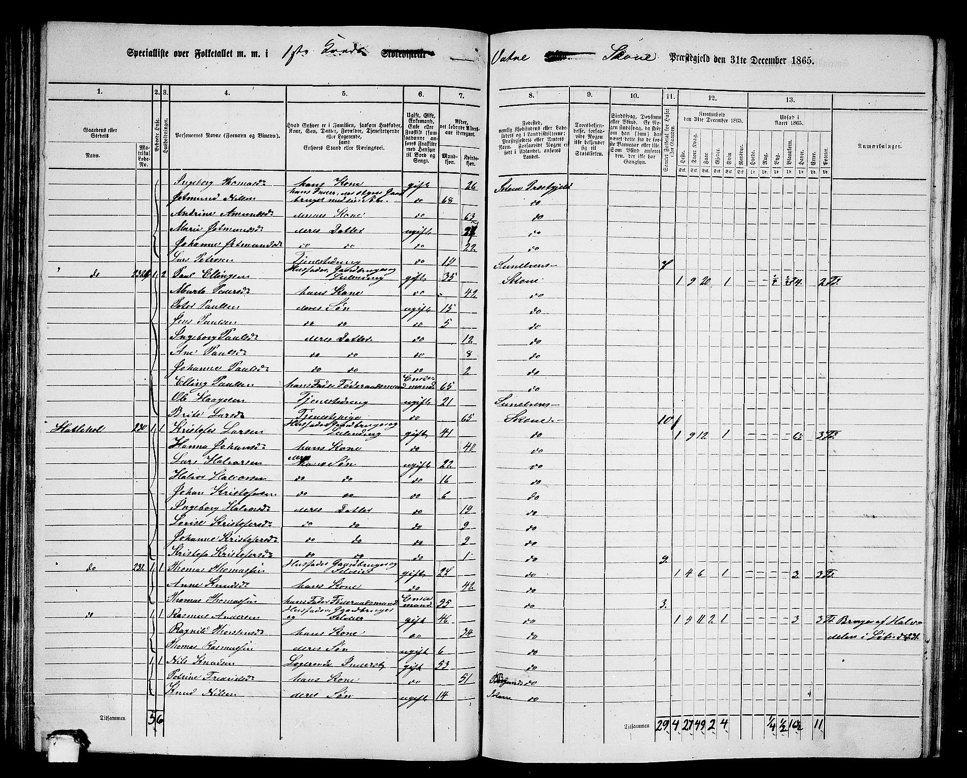 RA, 1865 census for Skodje, 1865, p. 73