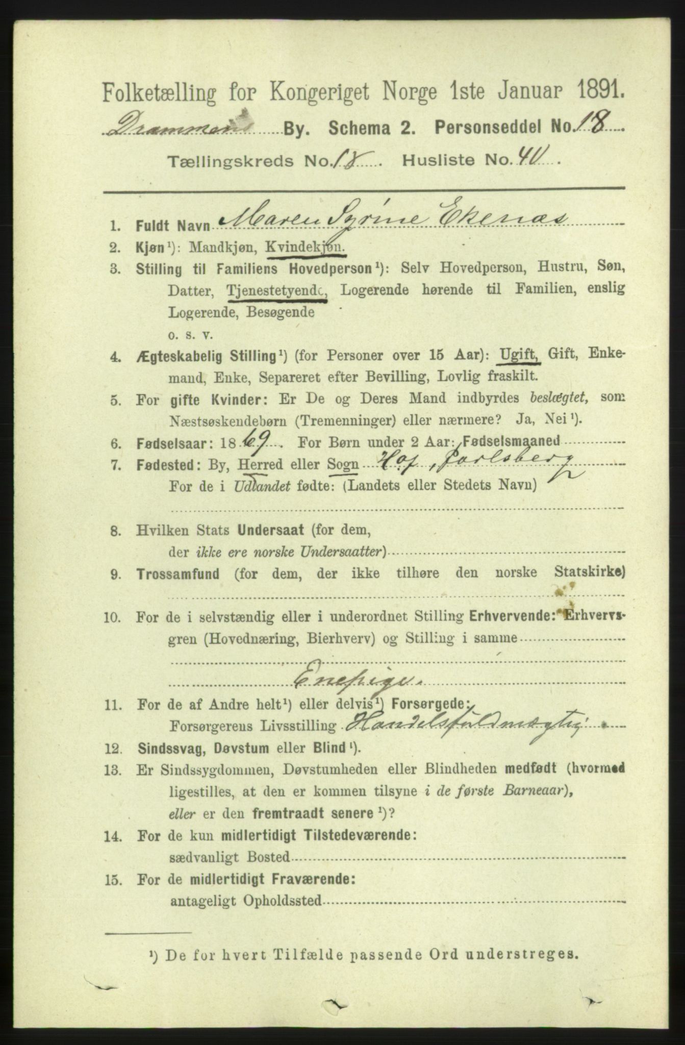 RA, 1891 census for 0602 Drammen, 1891, p. 11997