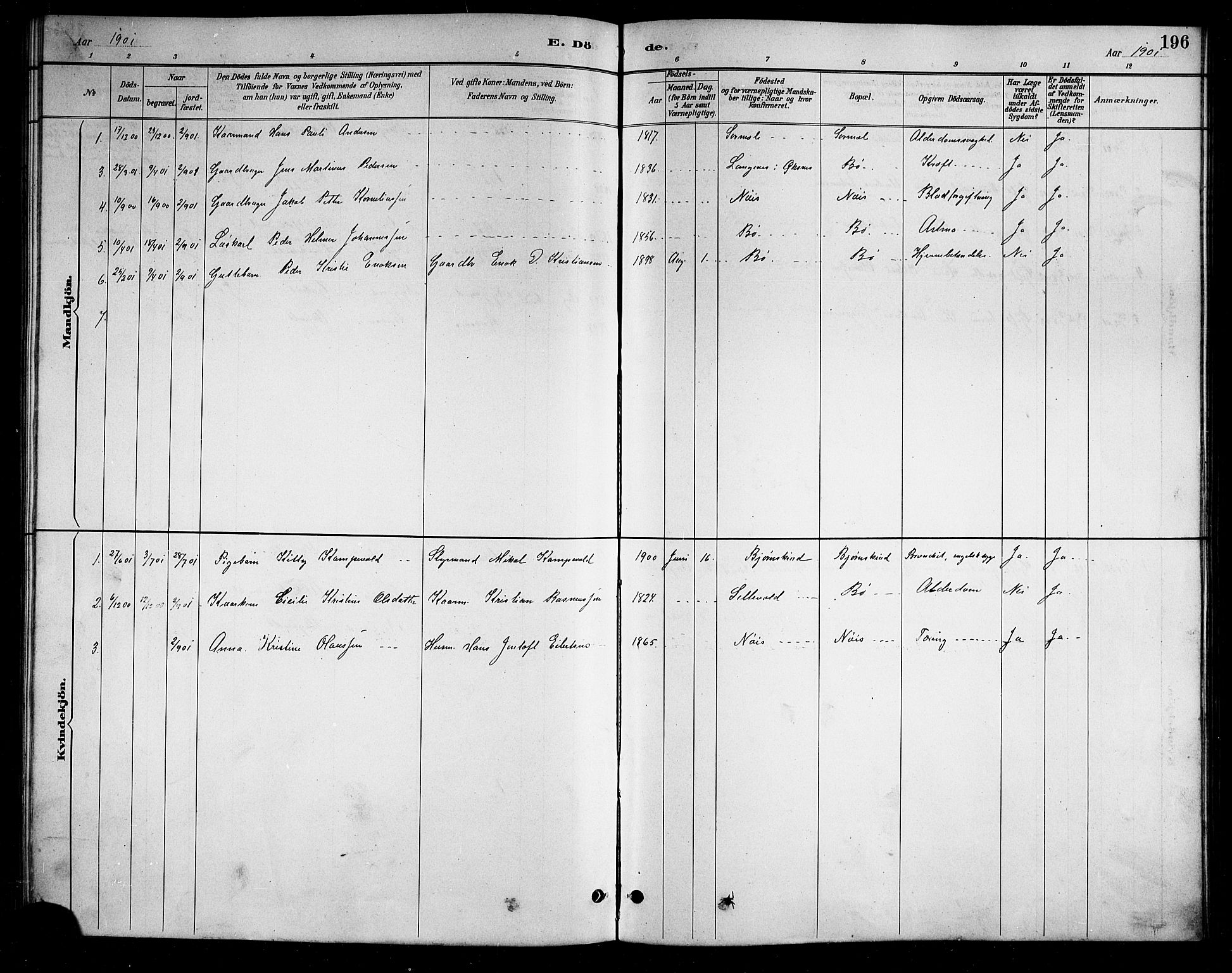 Ministerialprotokoller, klokkerbøker og fødselsregistre - Nordland, SAT/A-1459/898/L1427: Parish register (copy) no. 898C02, 1887-1917, p. 196