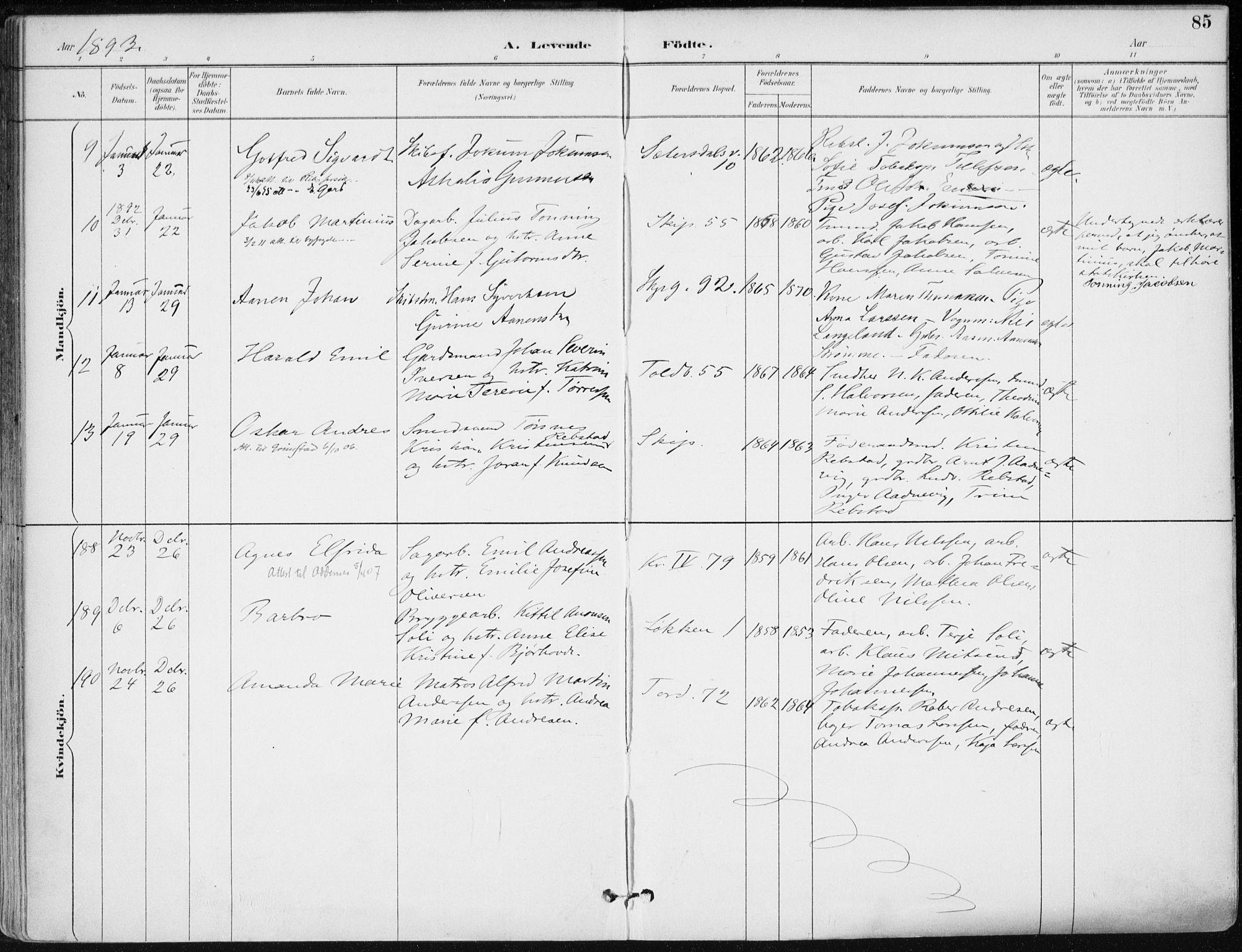 Kristiansand domprosti, AV/SAK-1112-0006/F/Fa/L0019: Parish register (official) no. A 18, 1890-1897, p. 85