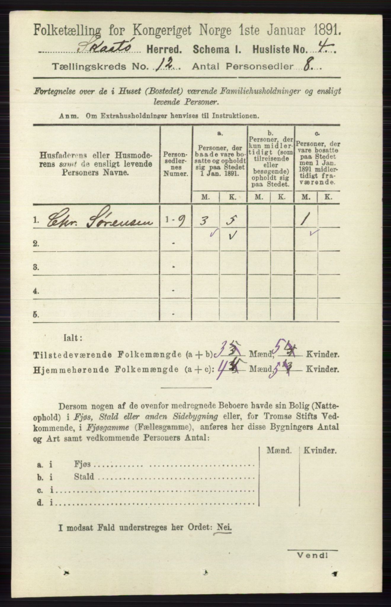 RA, 1891 census for 0815 Skåtøy, 1891, p. 4277