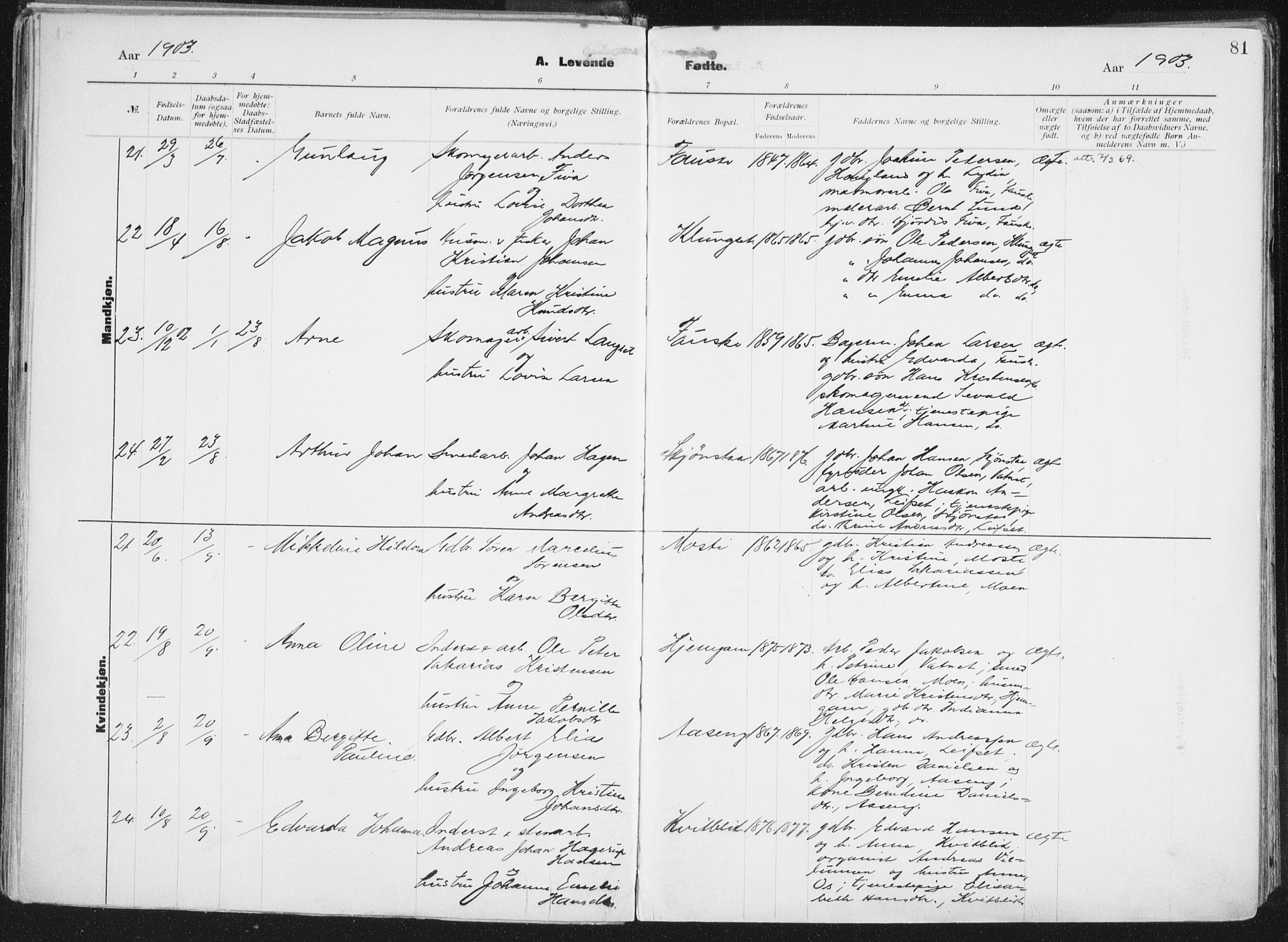 Ministerialprotokoller, klokkerbøker og fødselsregistre - Nordland, AV/SAT-A-1459/849/L0696: Parish register (official) no. 849A08, 1898-1910, p. 81