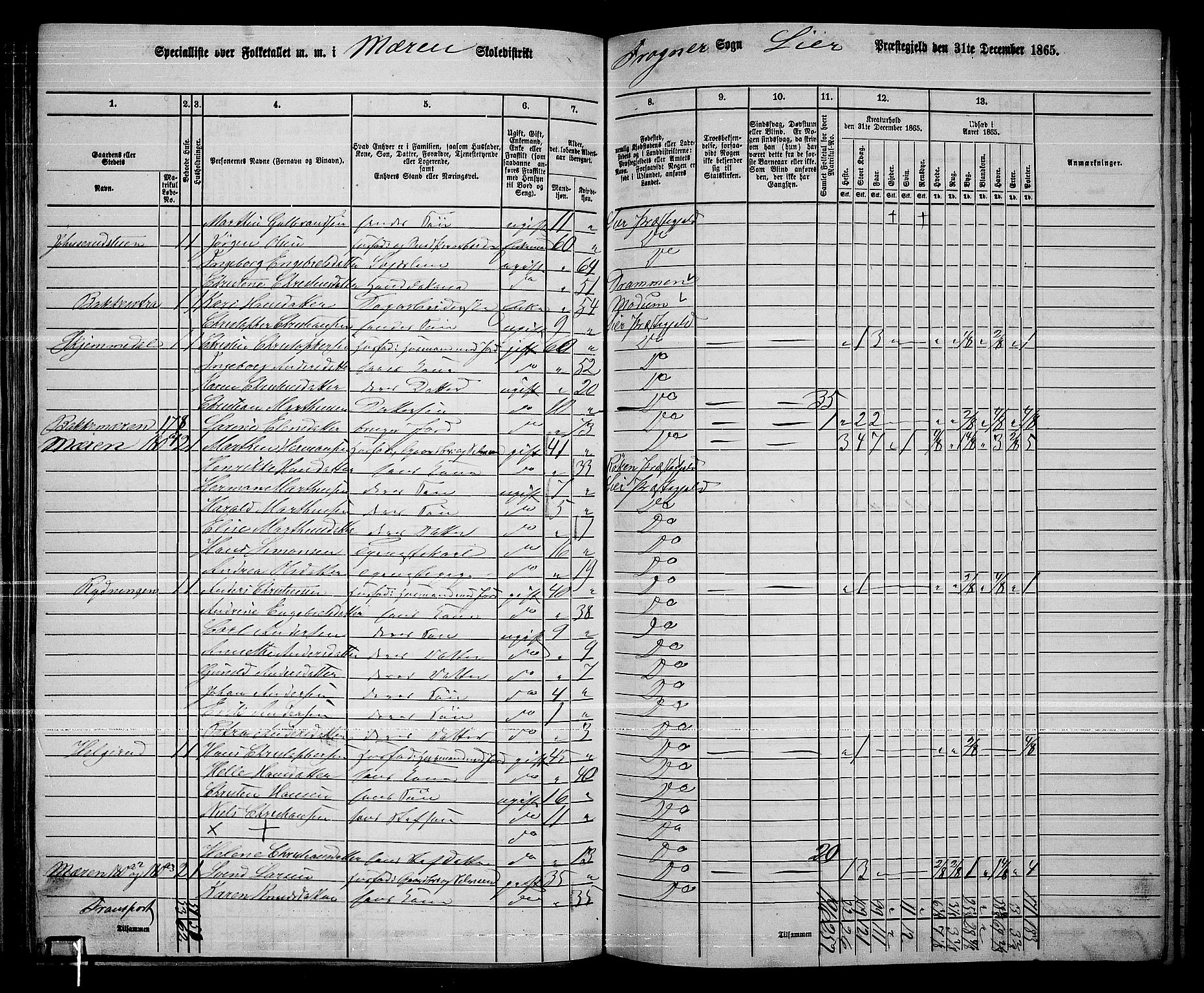 RA, 1865 census for Lier, 1865, p. 102