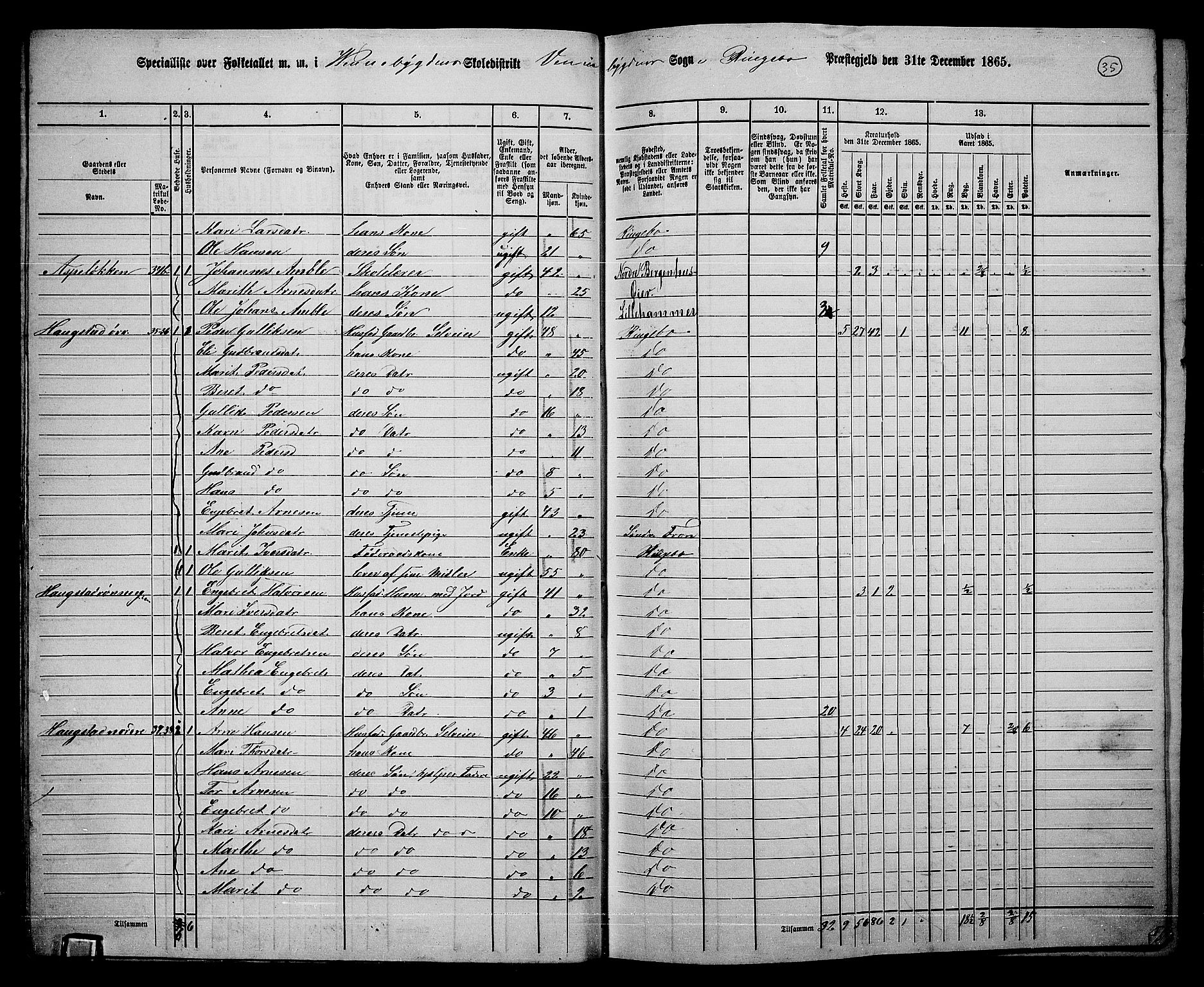 RA, 1865 census for Ringebu, 1865, p. 30