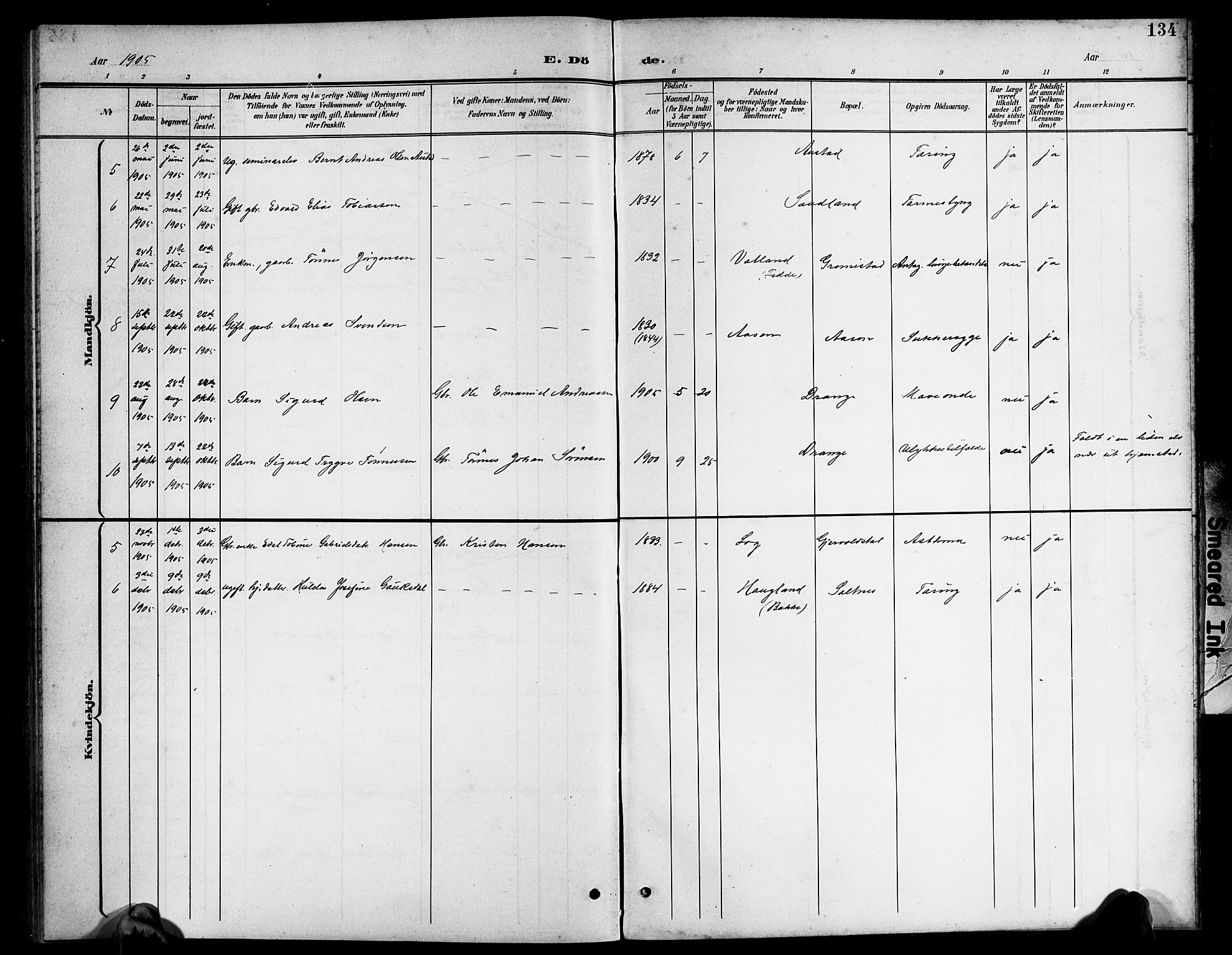 Herad sokneprestkontor, AV/SAK-1111-0018/F/Fb/Fba/L0005: Parish register (copy) no. B 5, 1899-1921, p. 134