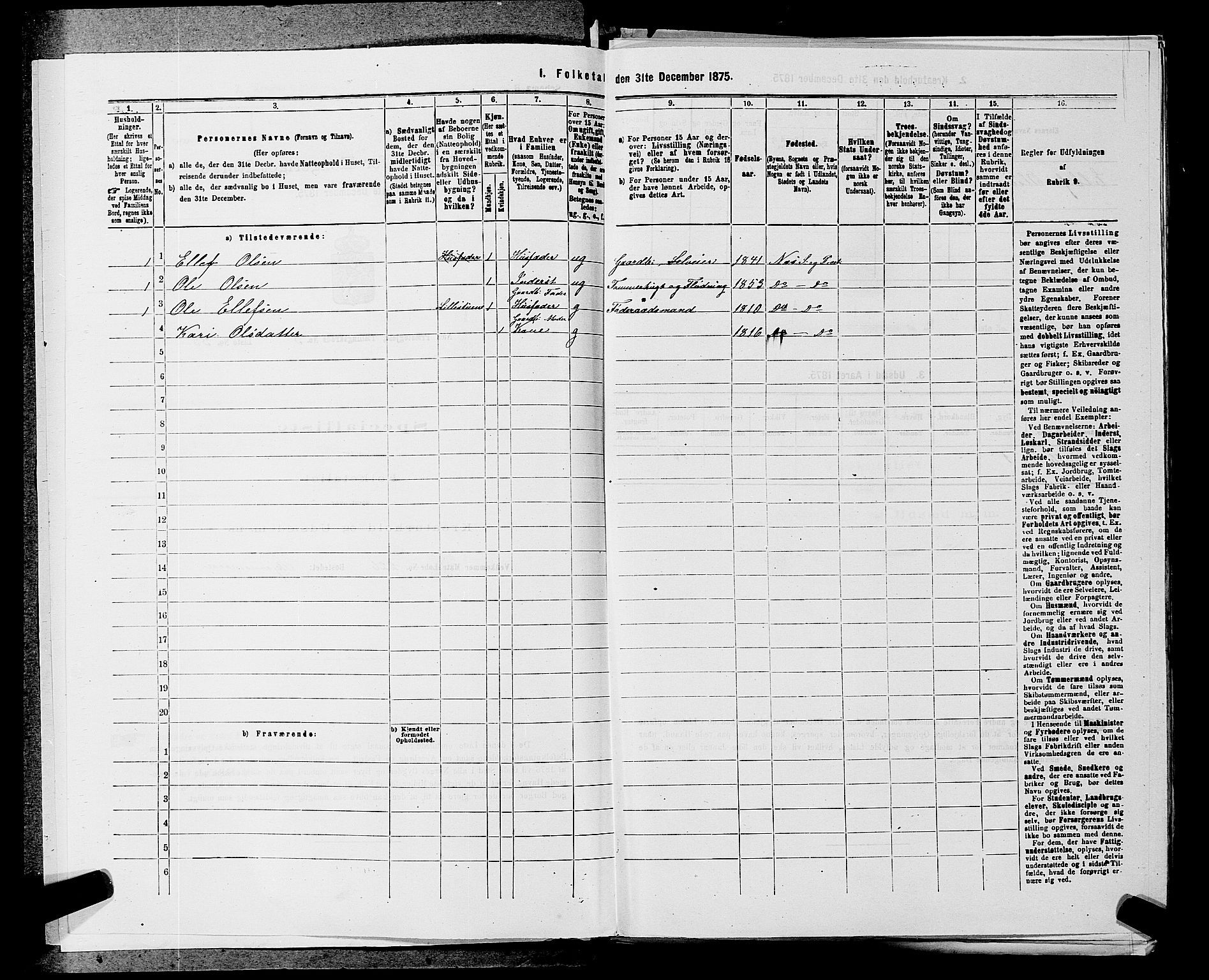 SAKO, 1875 census for 0616P Nes, 1875, p. 597