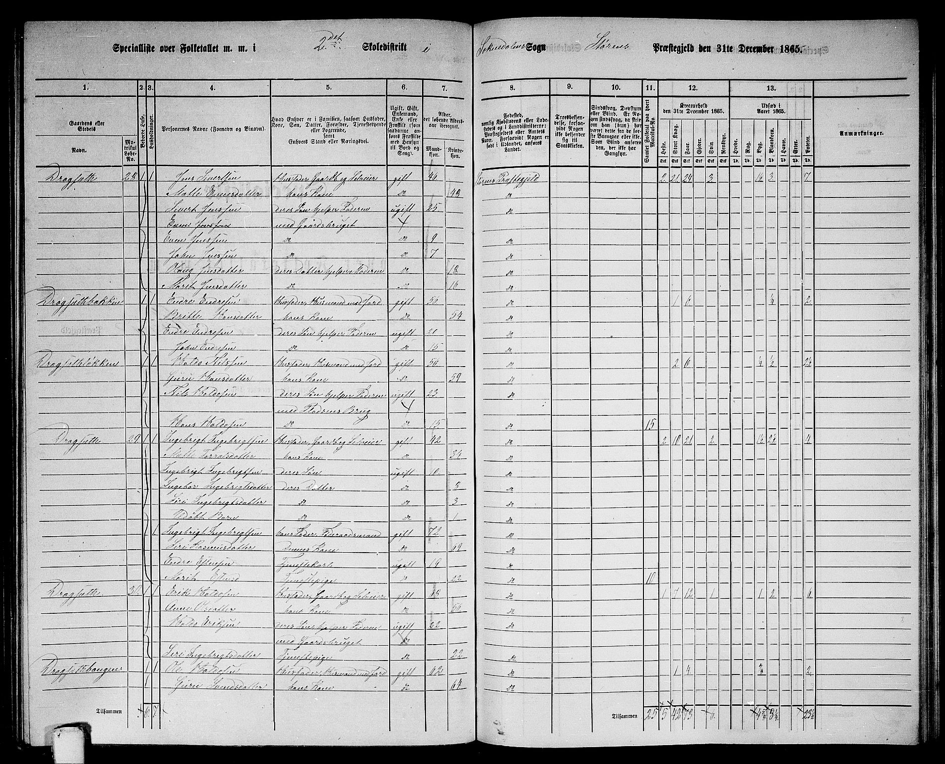 RA, 1865 census for Støren, 1865, p. 239