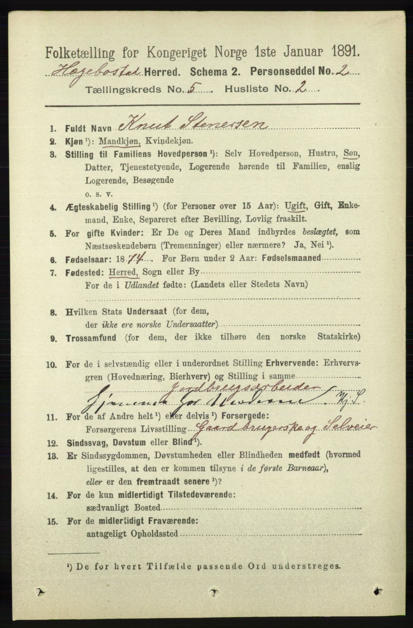 RA, 1891 census for 1034 Hægebostad, 1891, p. 1495