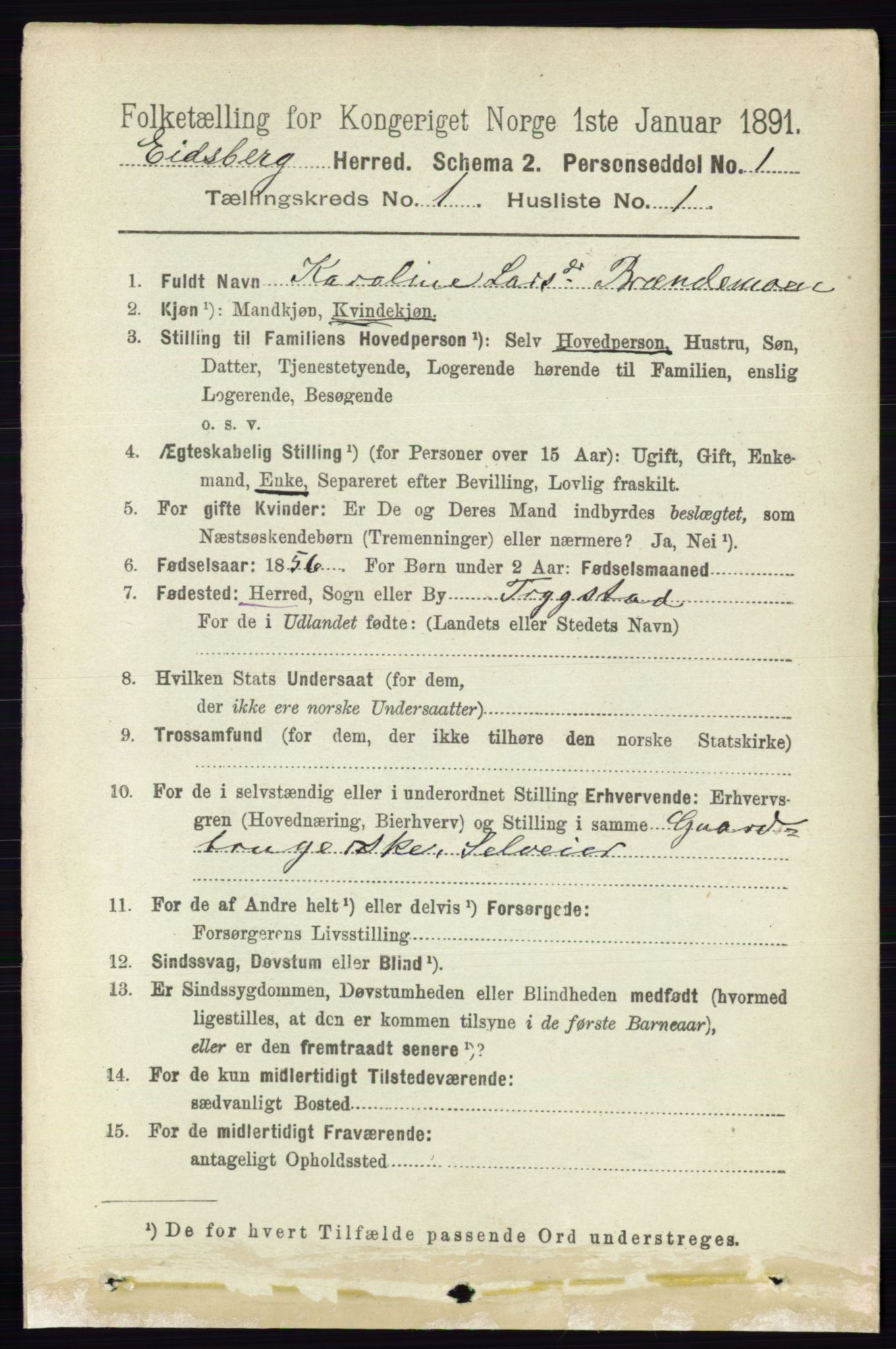 RA, 1891 census for 0125 Eidsberg, 1891, p. 139