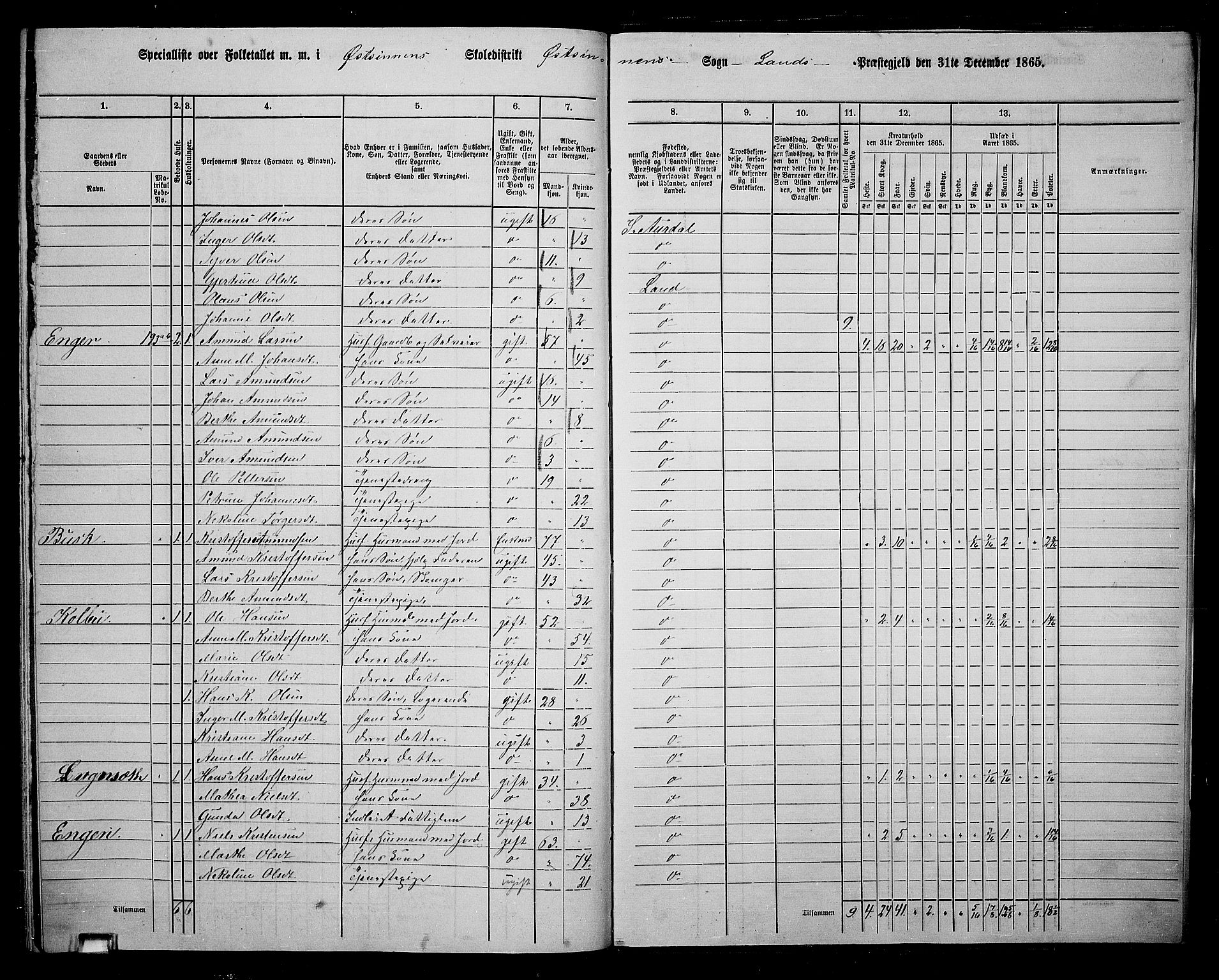 RA, 1865 census for Land, 1865, p. 195