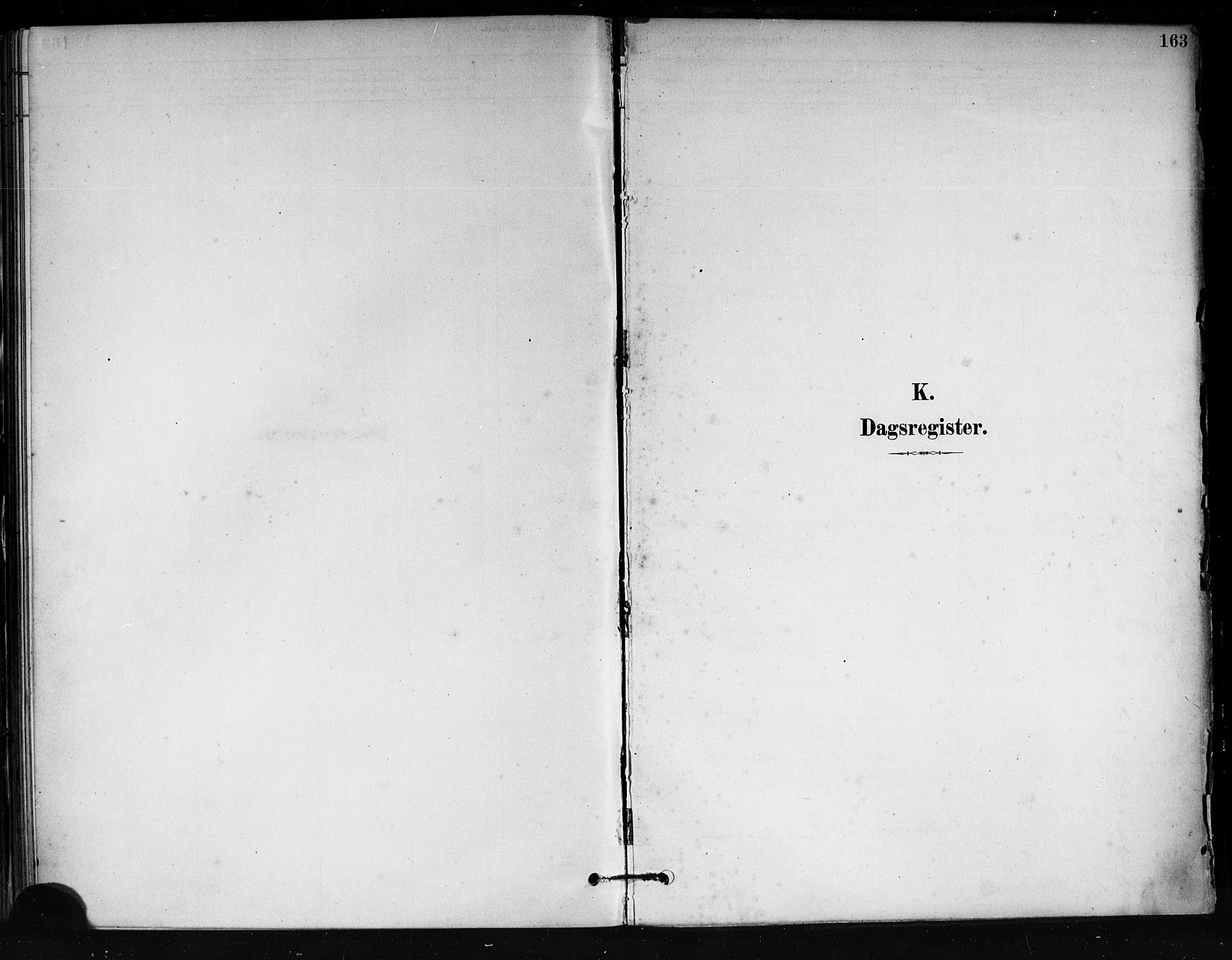 Tjøme kirkebøker, SAKO/A-328/F/Fa/L0001: Parish register (official) no. 1, 1879-1890, p. 163