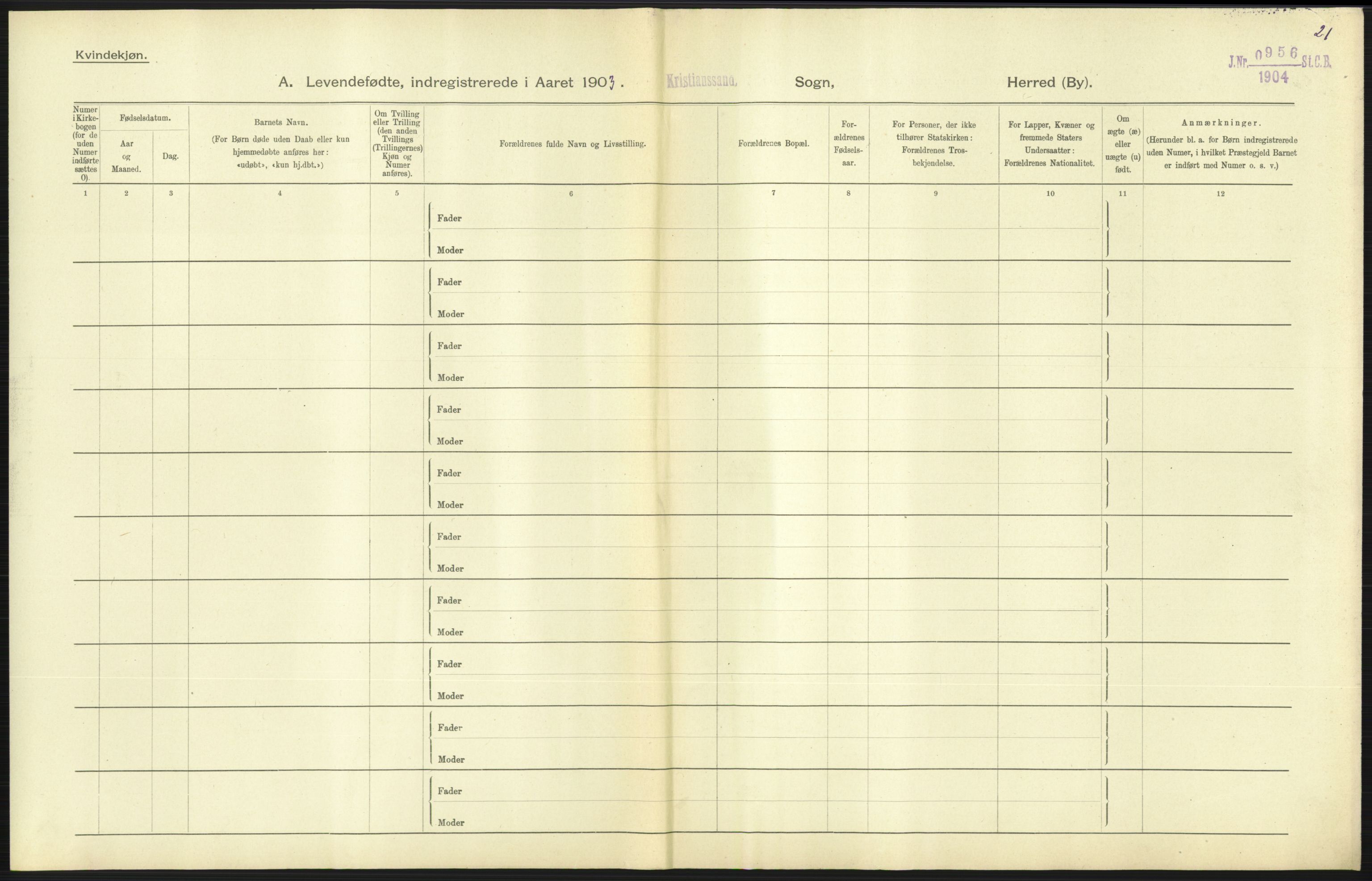 Statistisk sentralbyrå, Sosiodemografiske emner, Befolkning, AV/RA-S-2228/D/Df/Dfa/Dfaa/L0011: Lister og Mandal amt: Fødte, gifte, døde, 1903, p. 231