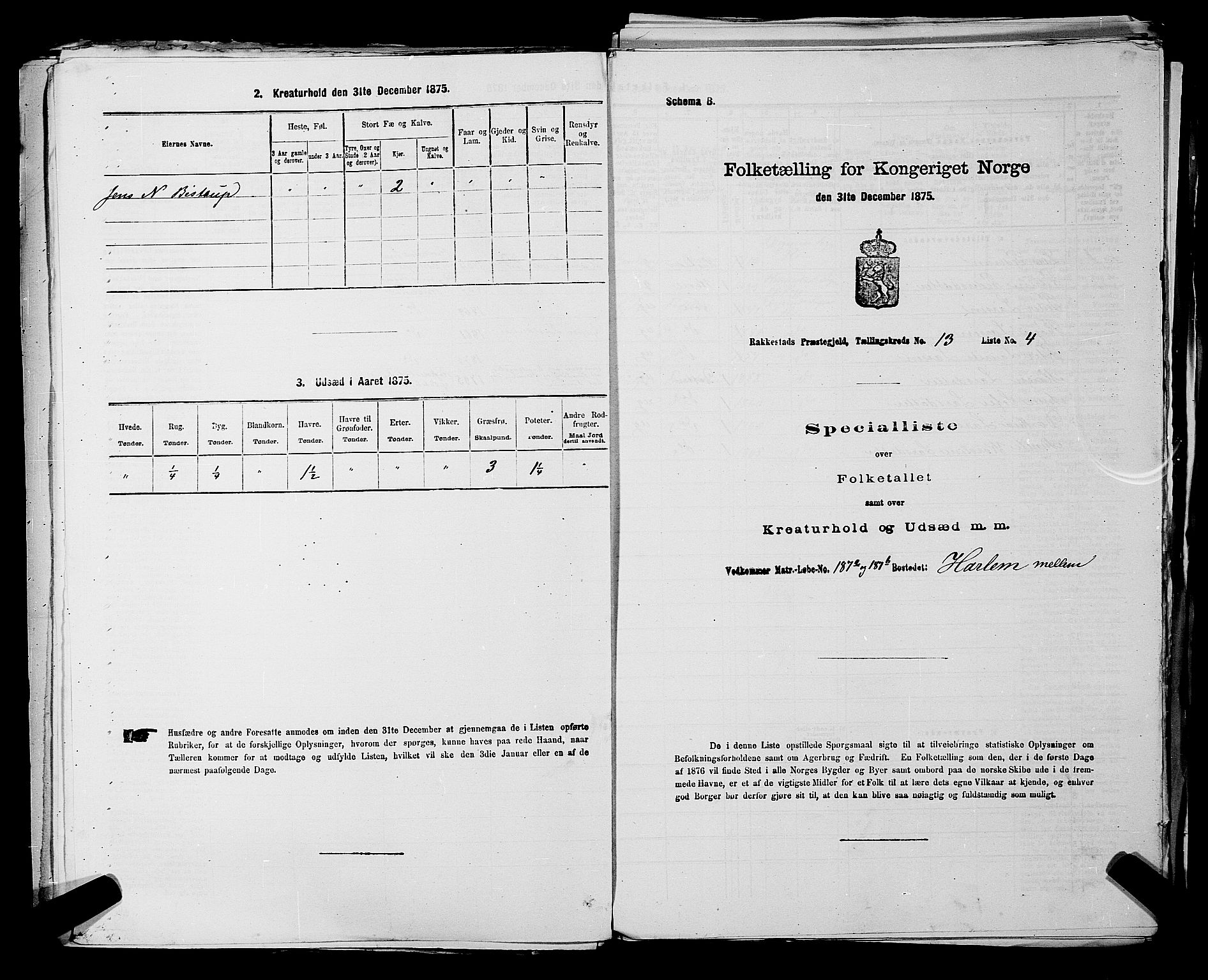 RA, 1875 census for 0128P Rakkestad, 1875, p. 1474