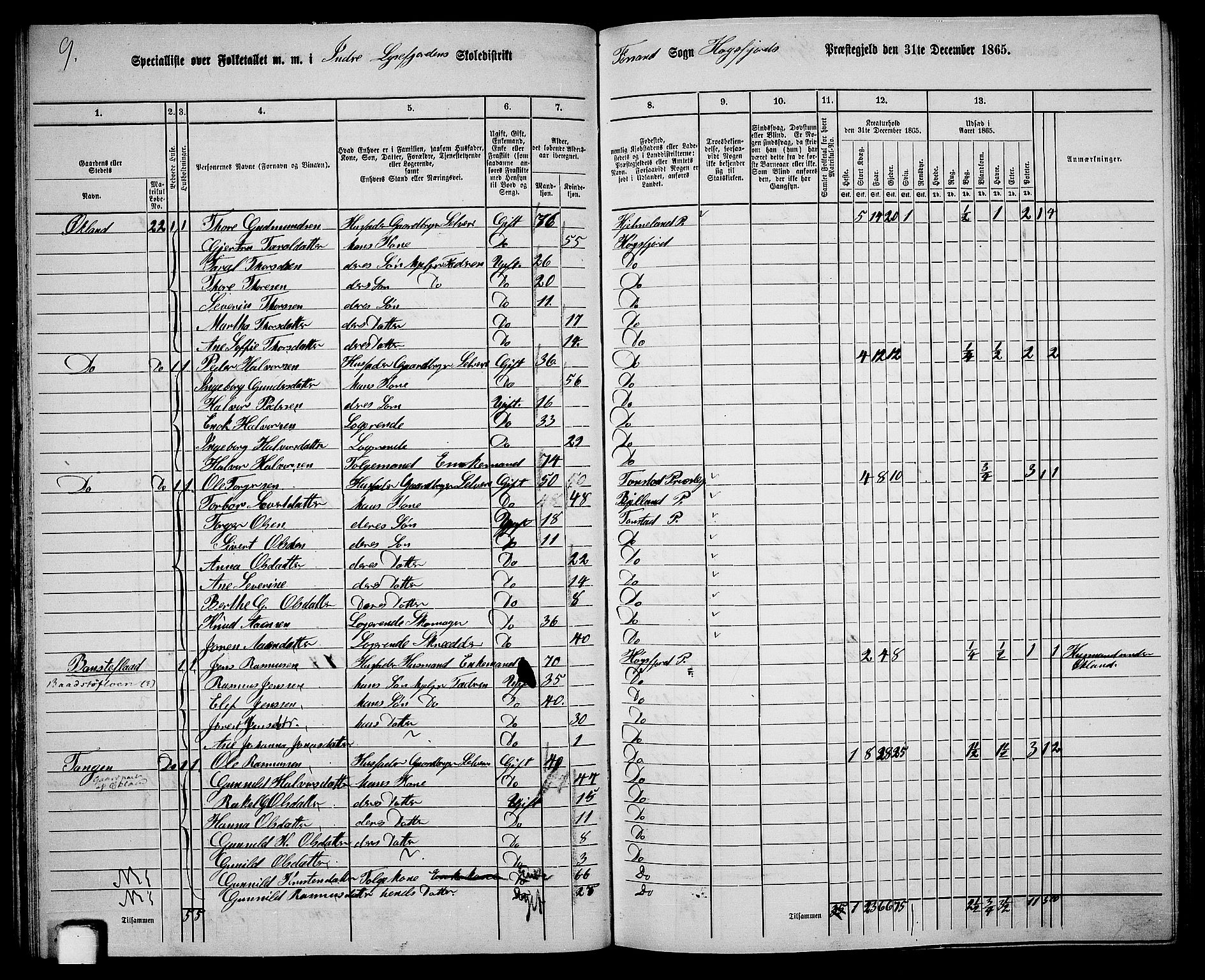 RA, 1865 census for Høgsfjord, 1865, p. 34