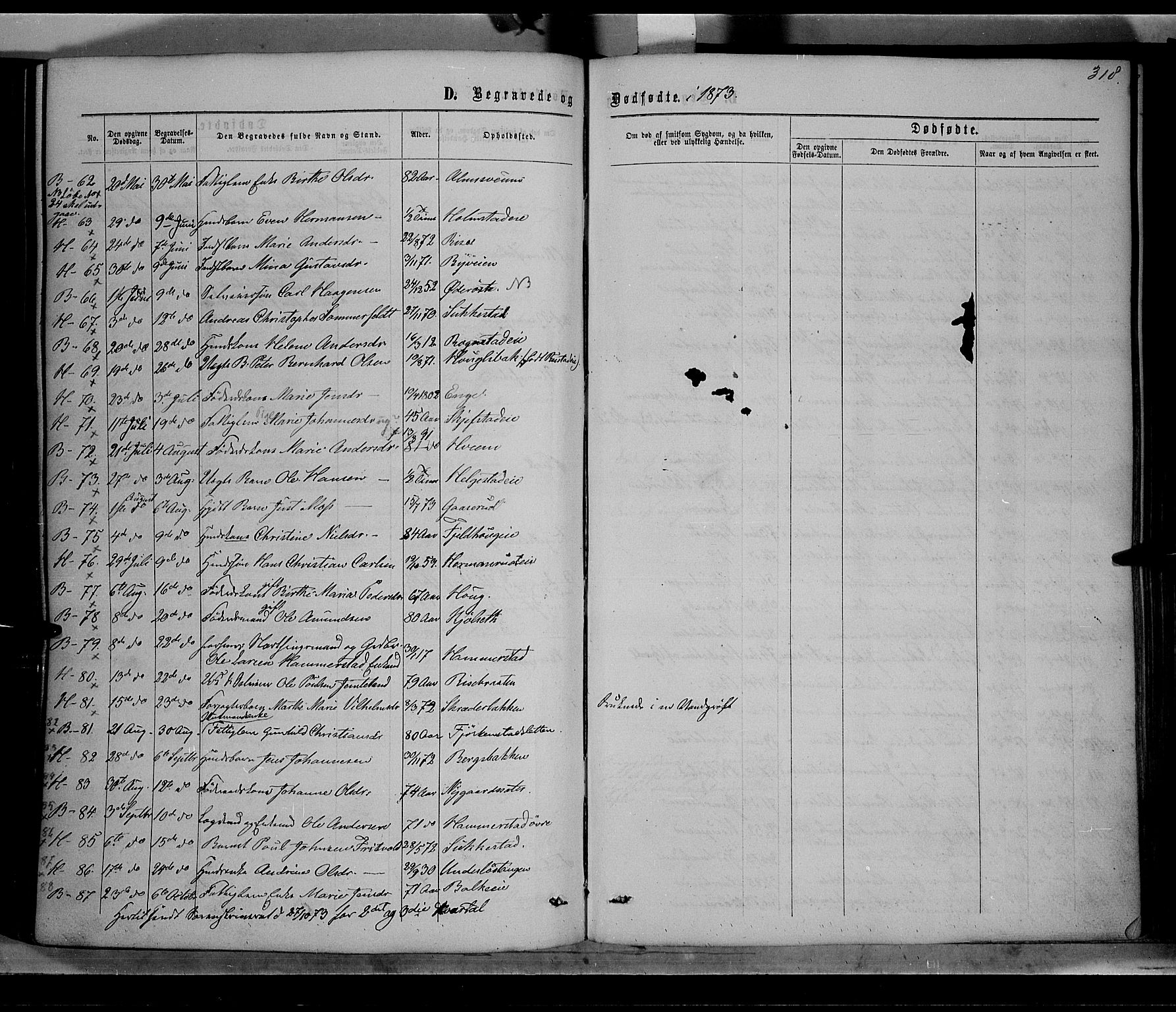 Østre Toten prestekontor, AV/SAH-PREST-104/H/Ha/Haa/L0005: Parish register (official) no. 5, 1866-1877, p. 318