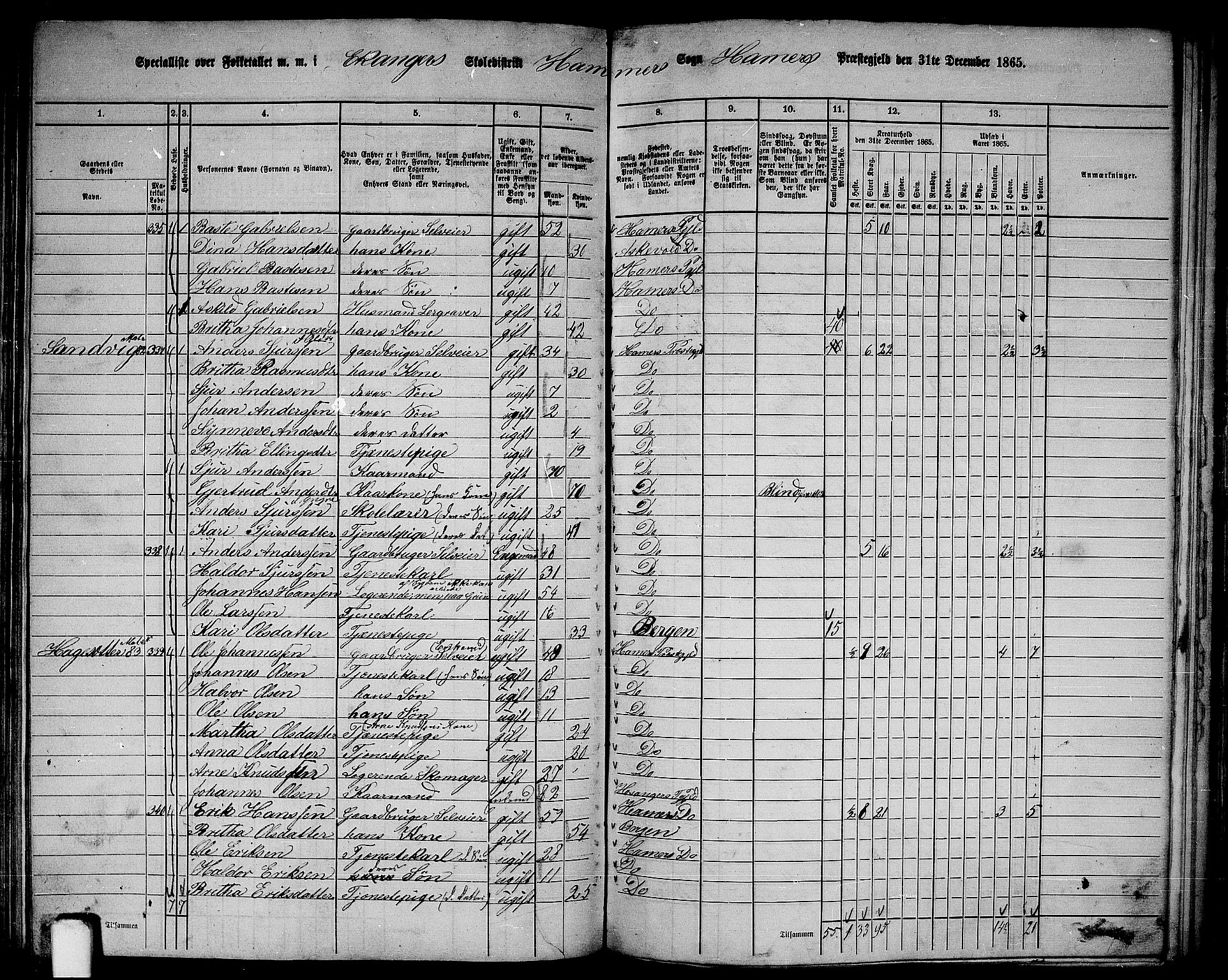 RA, 1865 census for Hamre, 1865, p. 123
